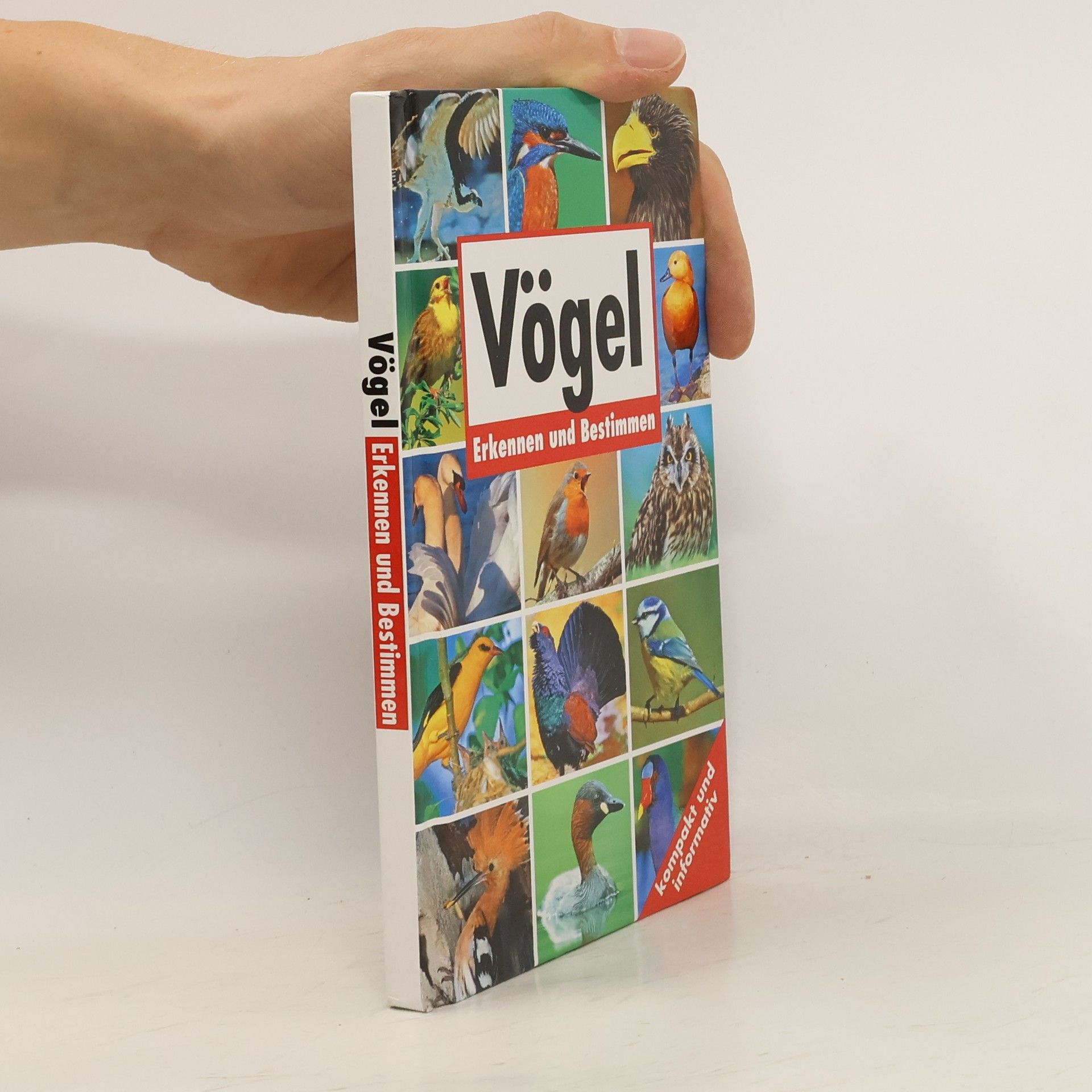 Autorenkollektiv Ptactvo - Poznávame a určujeme