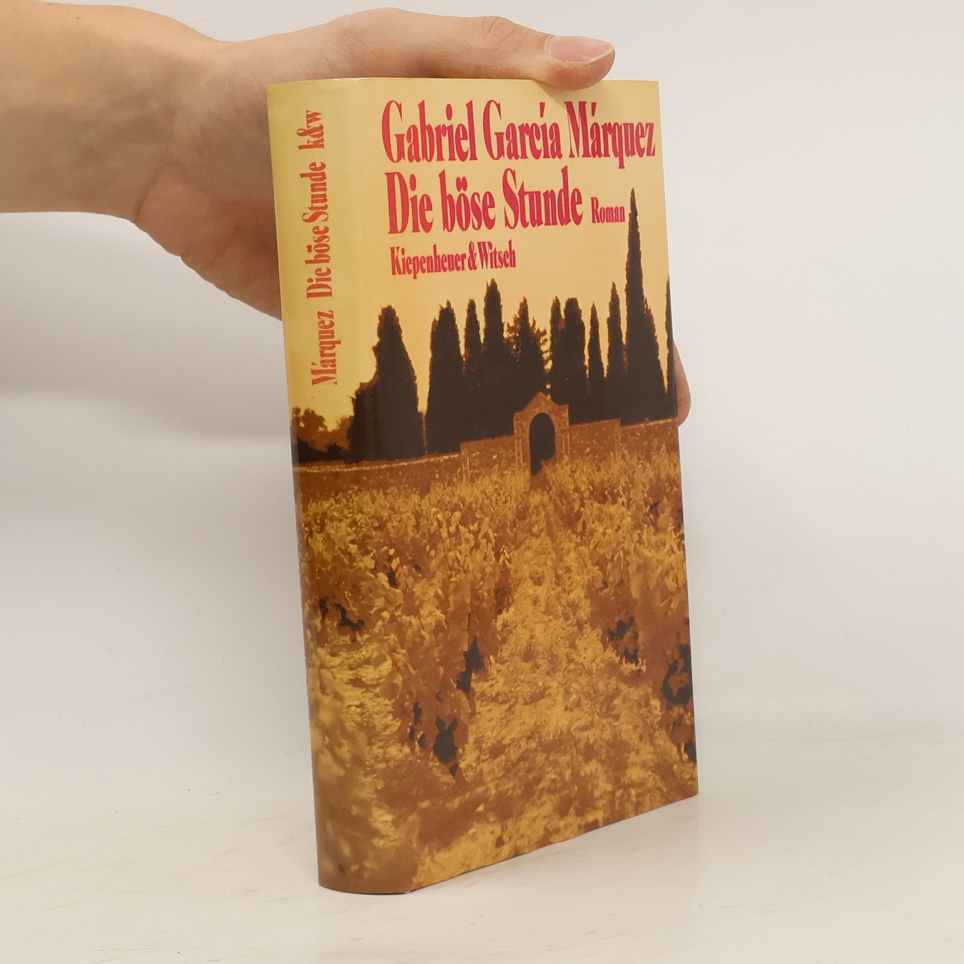 Gabriel García Márquez Die böse Stunde