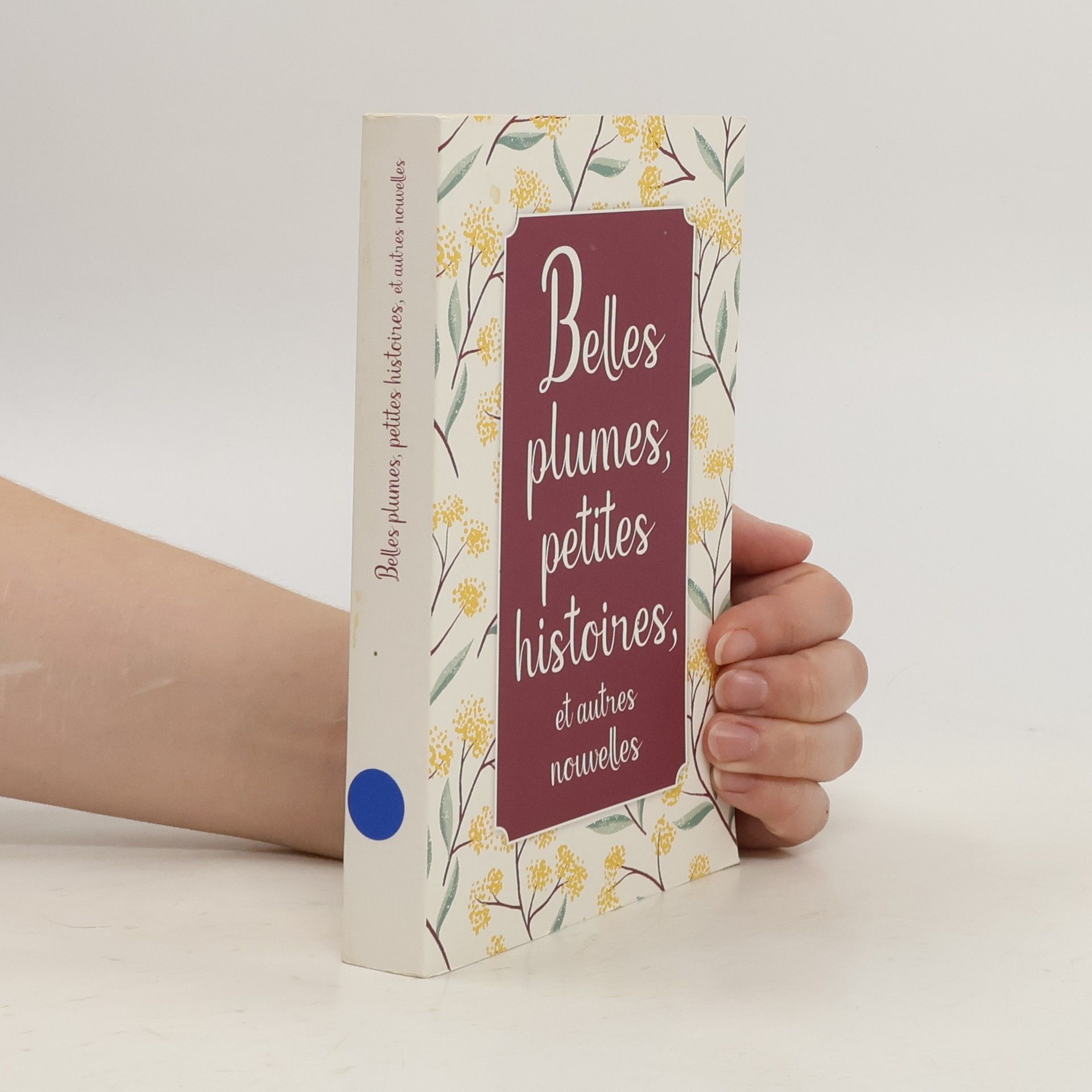 Collectif d'auteurs Belles plumes, petites histoires