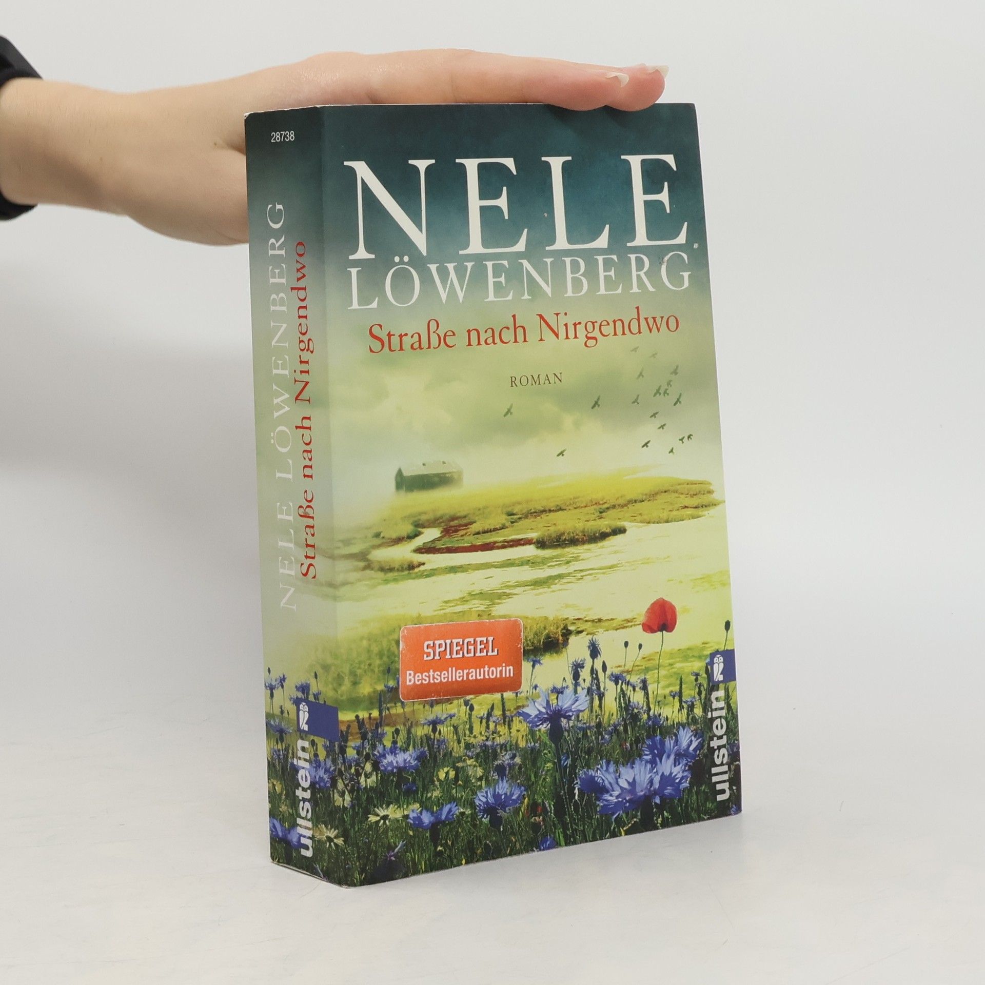 Straße nach Nirgendwo