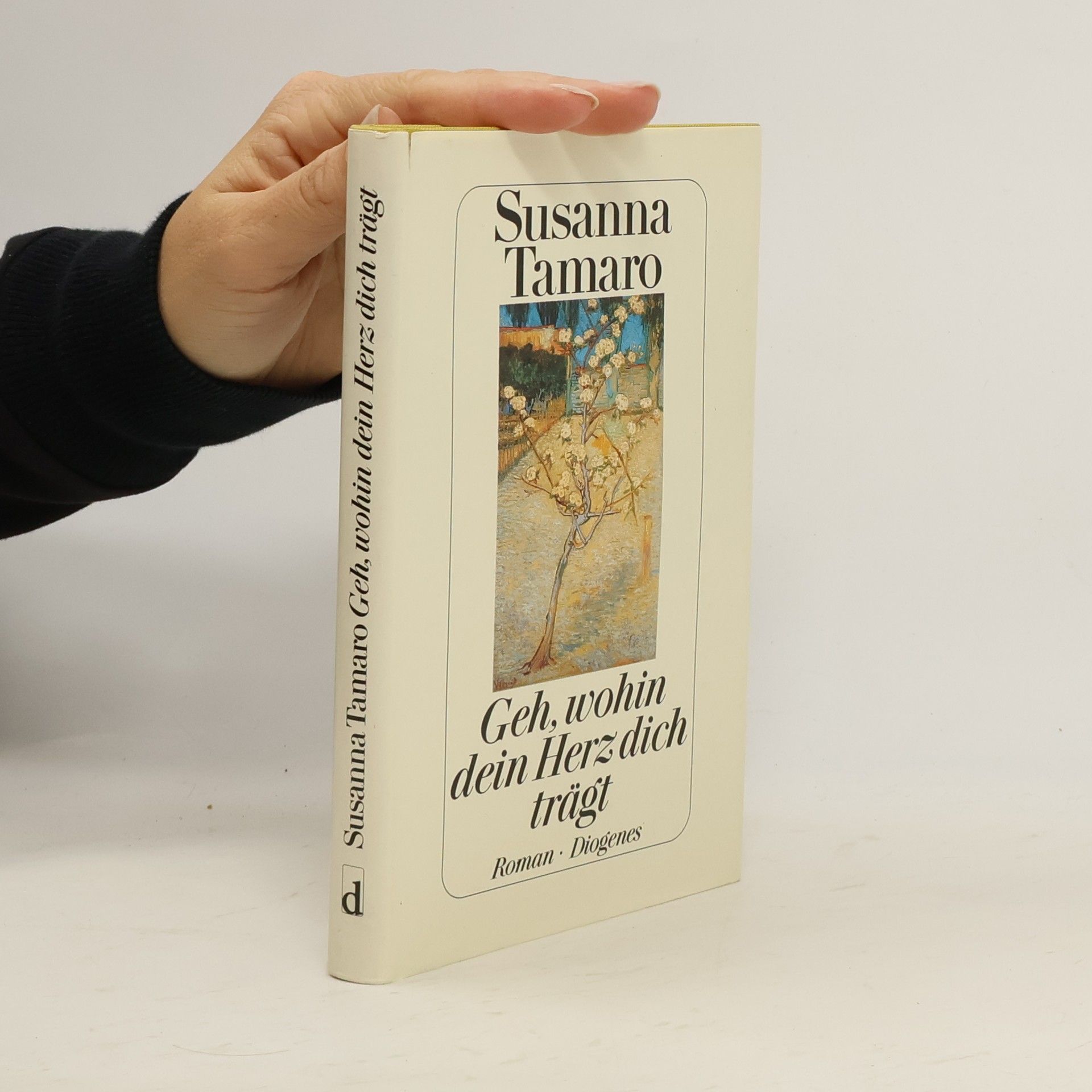 Susanna Tamaro Geh, wohin dein Herz dich trägt