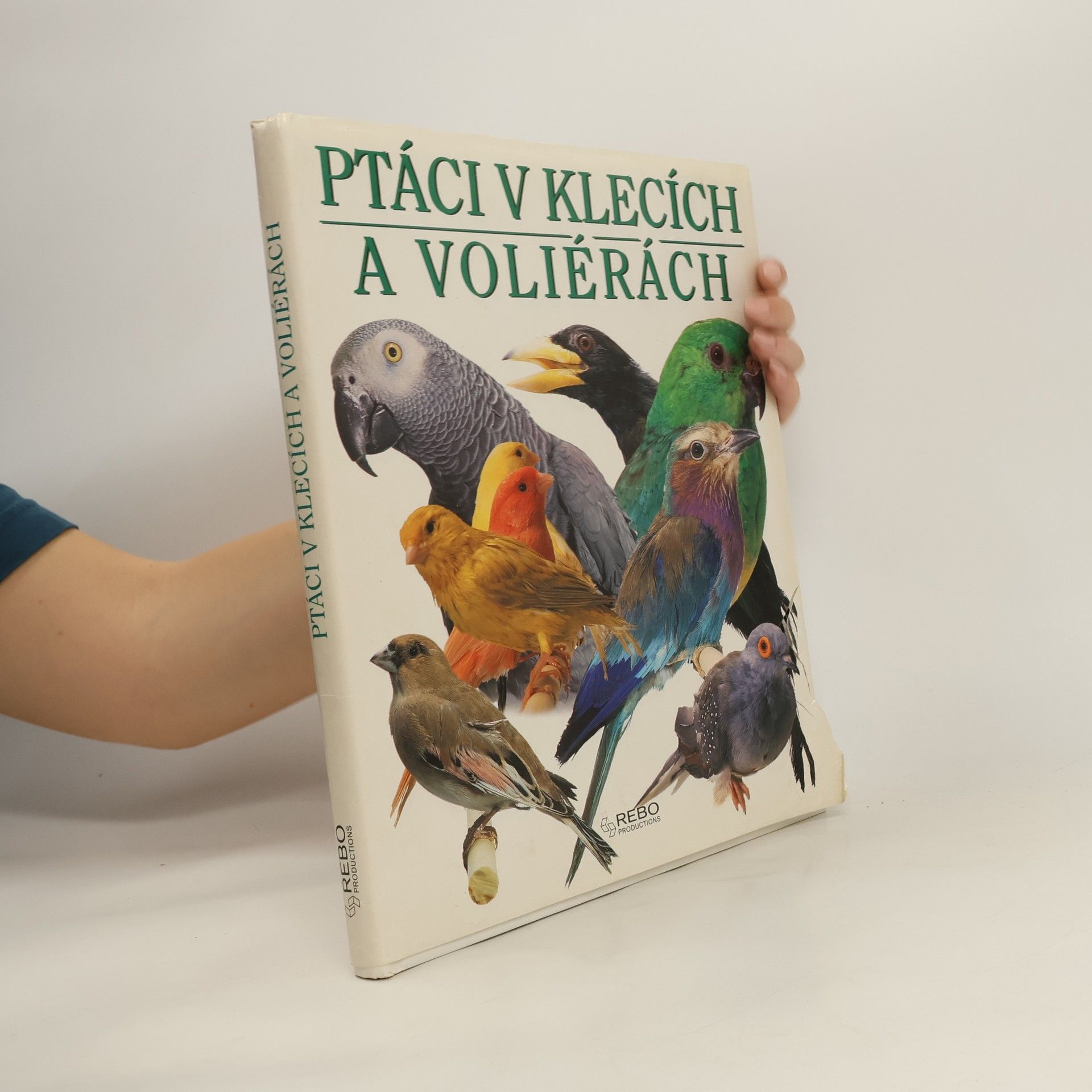 Jeannine Lancret Ptáci v klecích a voliérách