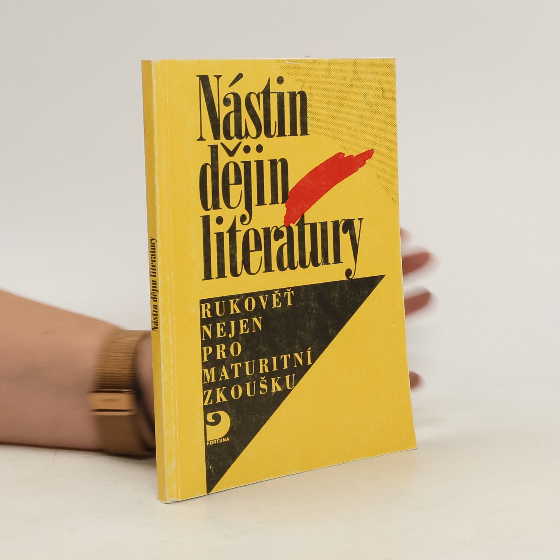 Nástin dějin literatury : rukověť nejen pro maturitní zkoušku