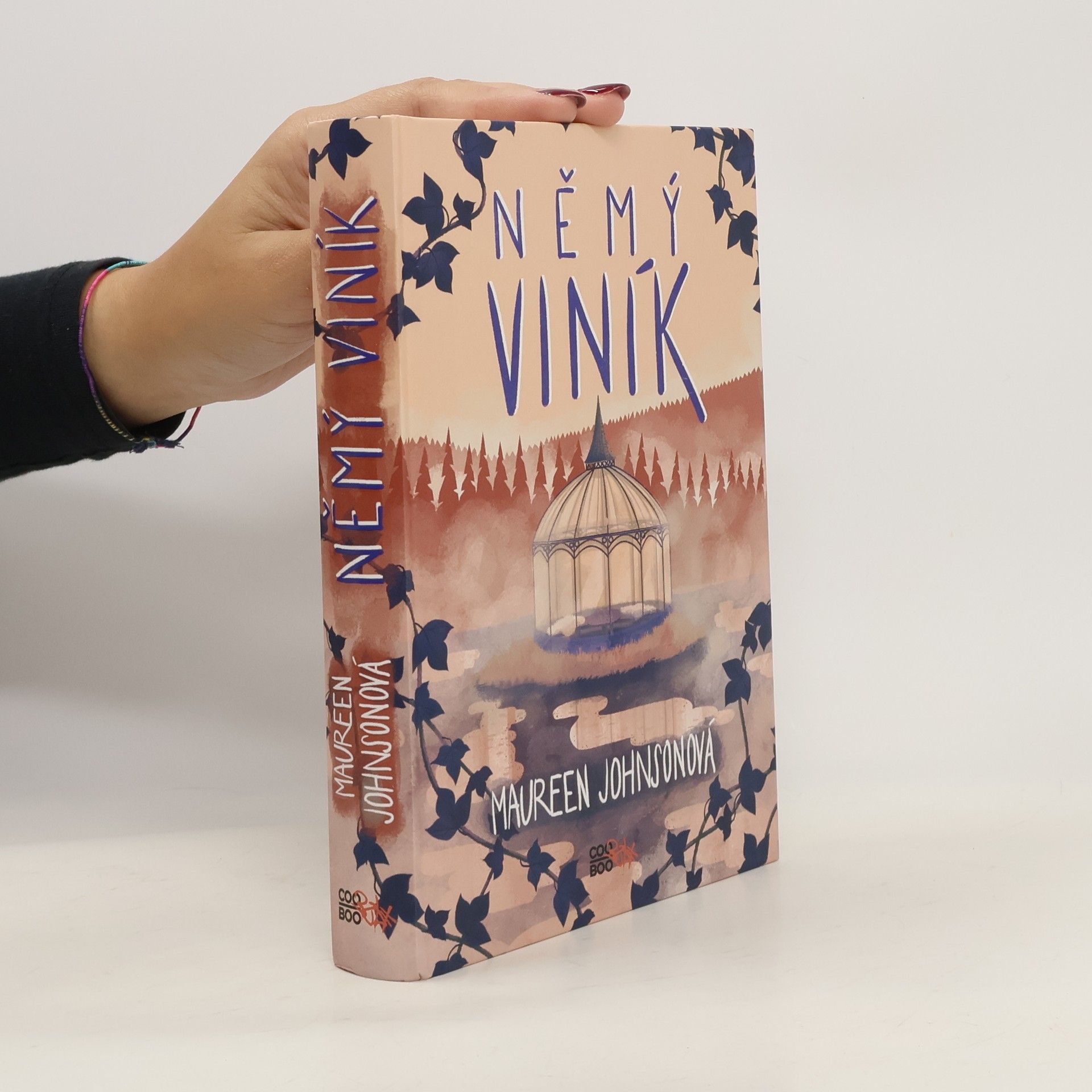Maureen Johnson Němý viník