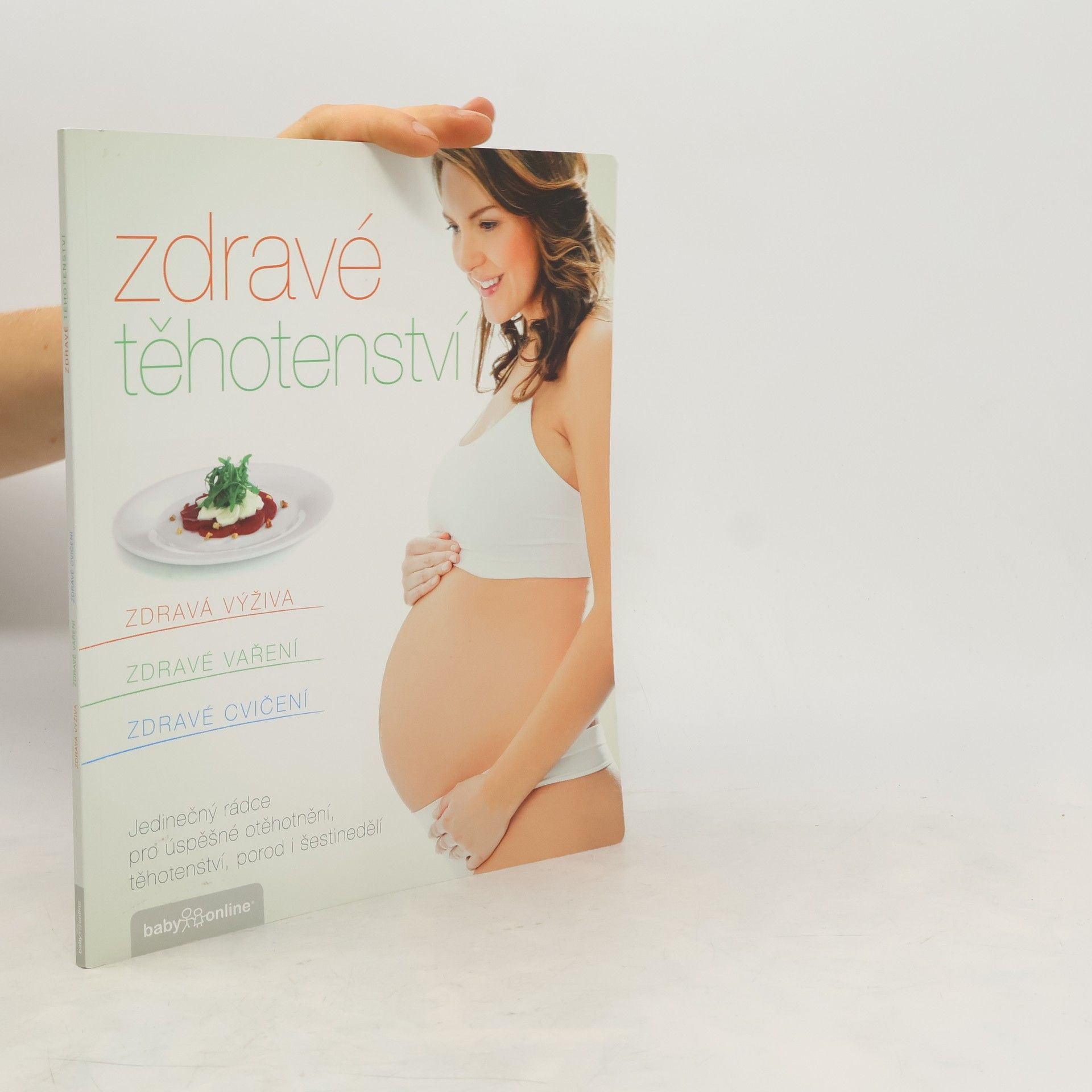 Kolektív autorov Zdravé těhotenství