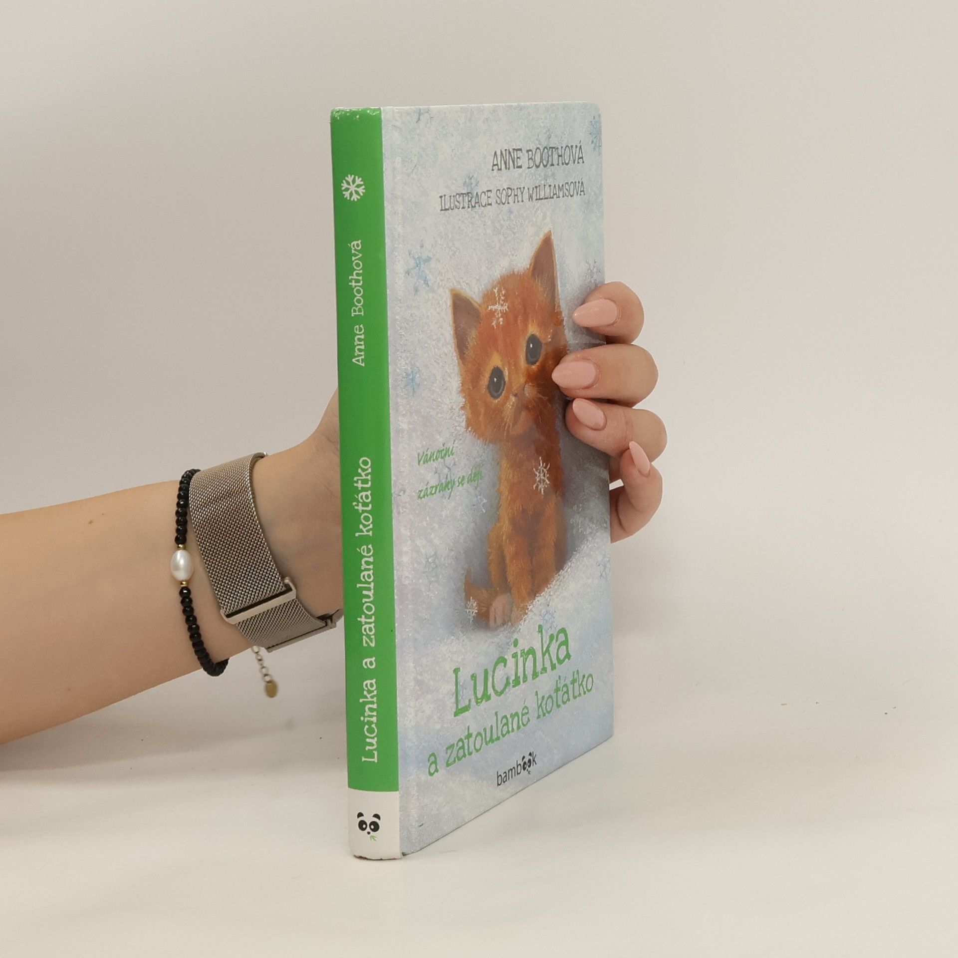 Anne Booth Lucinka a zatoulané koťátko