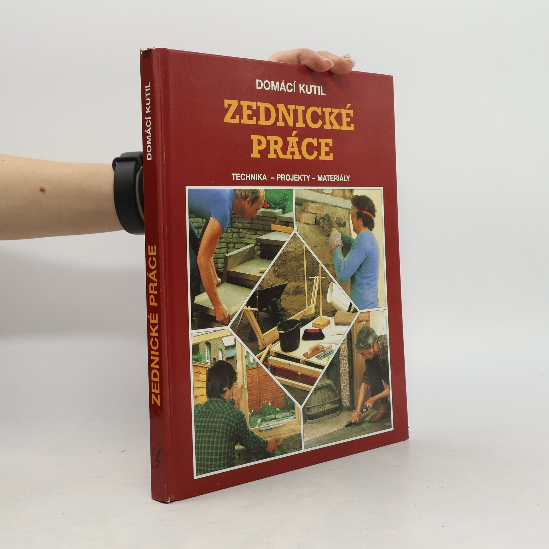 Alexandr Popov Zednické práce. Technika, projekty, materiály