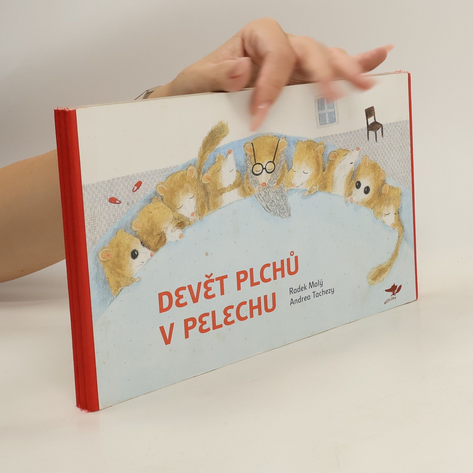 Radek Malý Devět plchů v pelechu