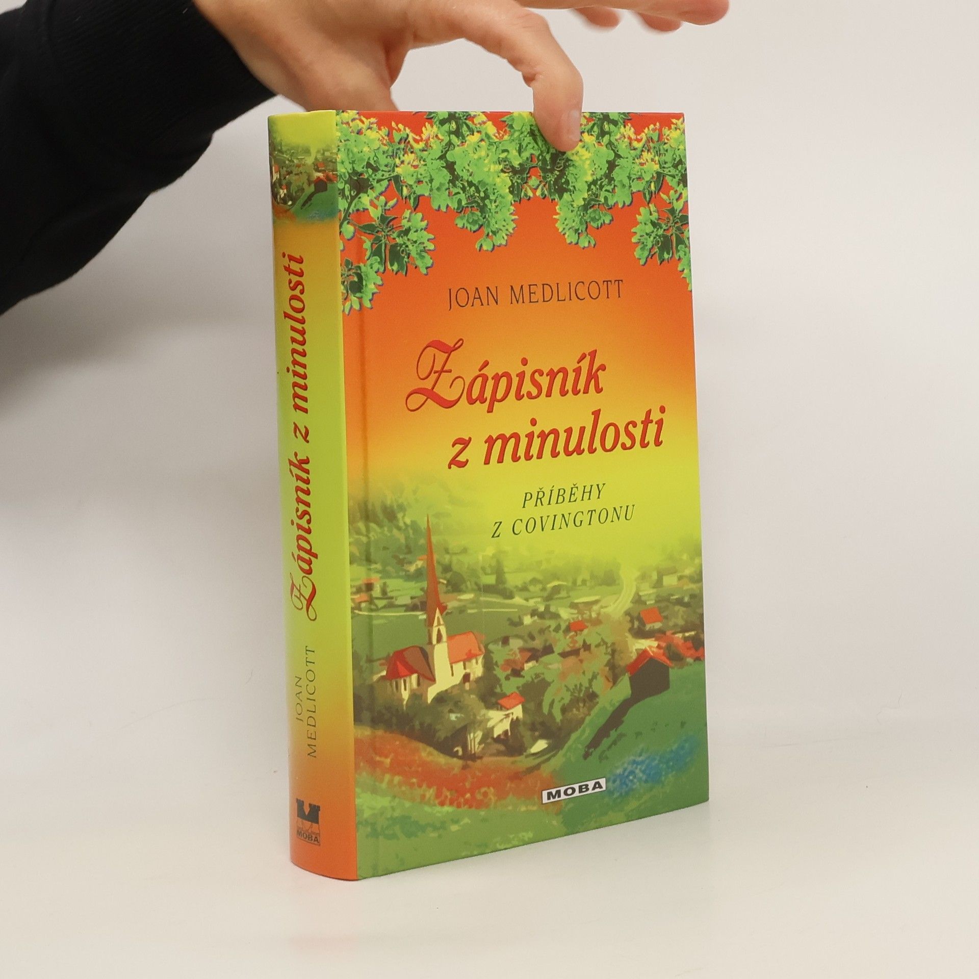 Joan Medlicott Zápisník z minulosti