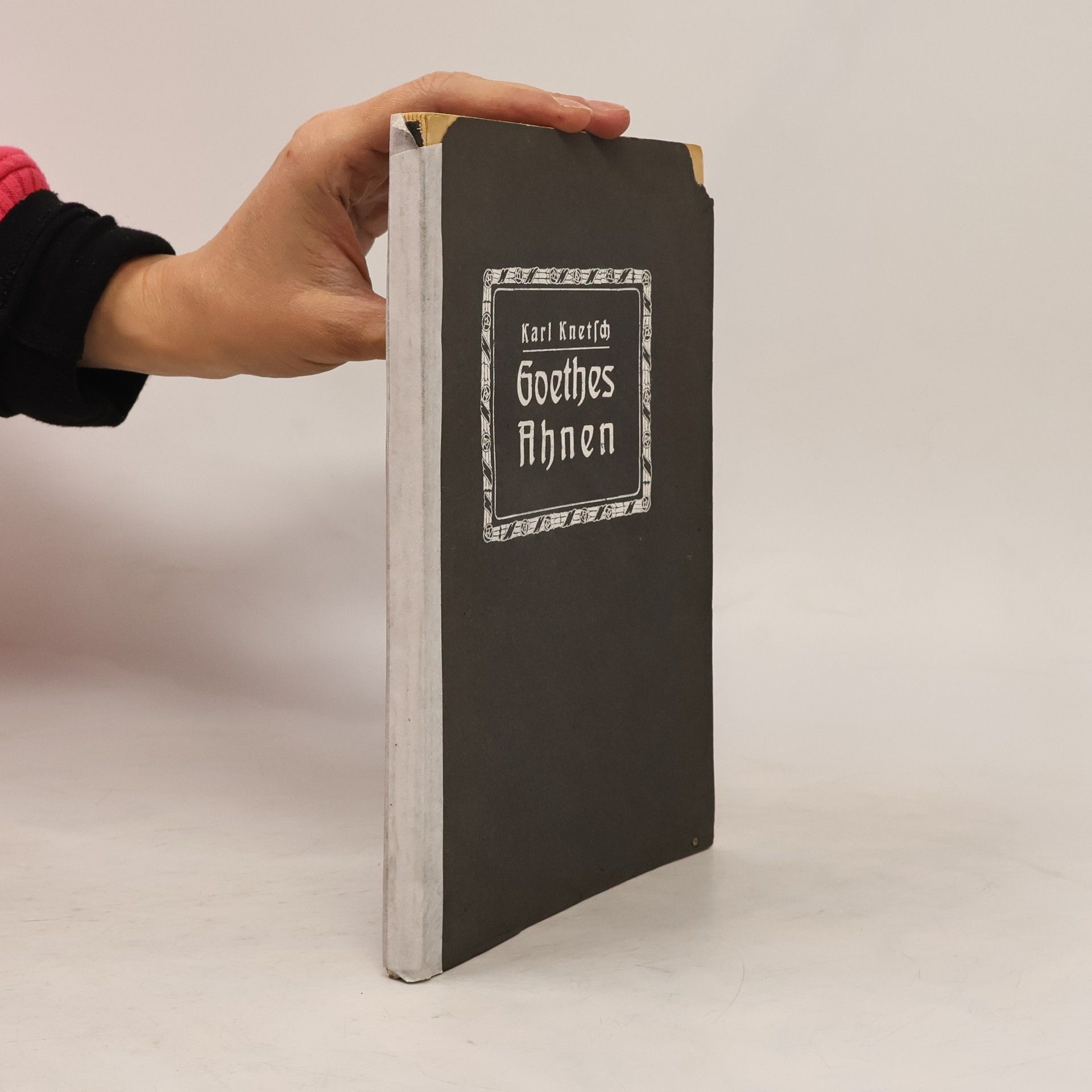 Carl Knetsch Goethes Ahnen