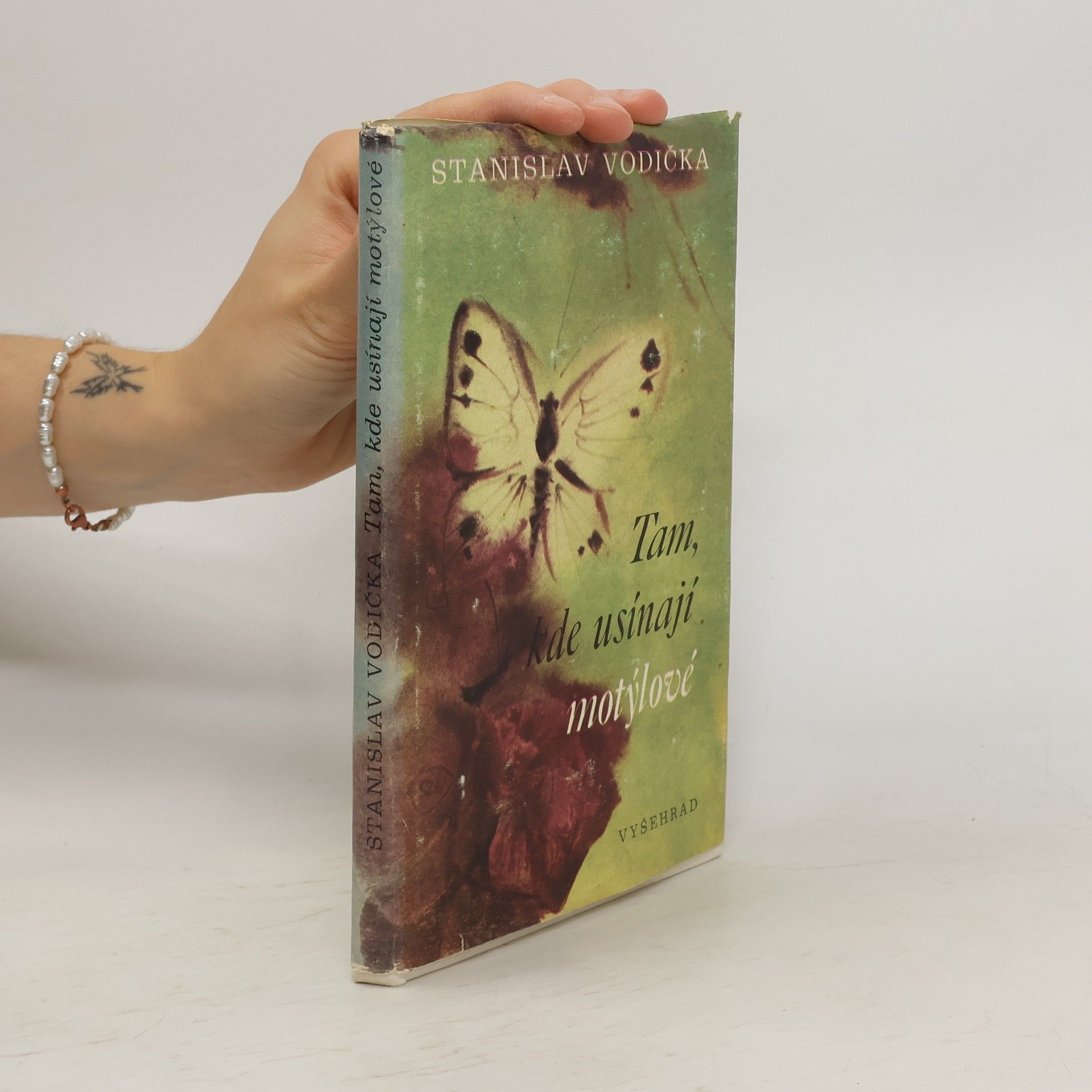 Tam, kde usínají motýlové