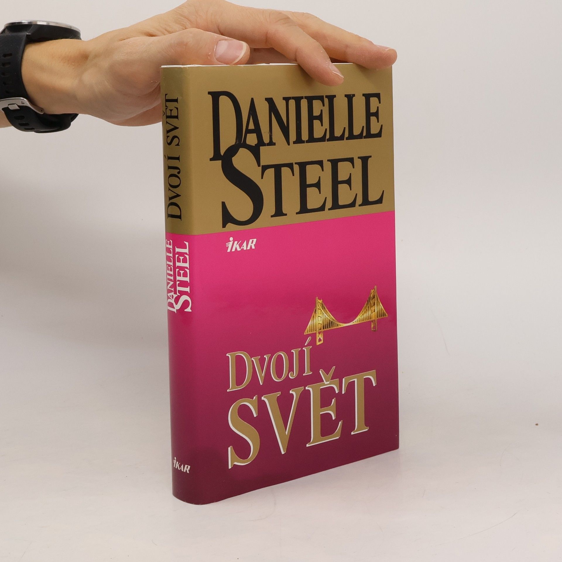 Danielle Steel Dvojí svět