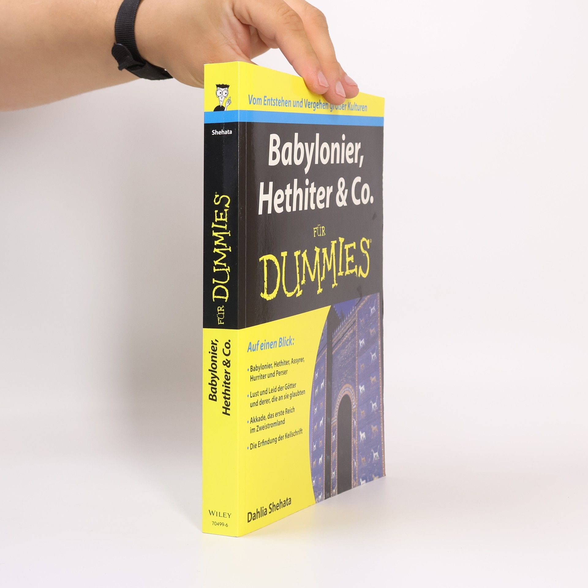 Babylonier, Hethiter & Co. für Dummies