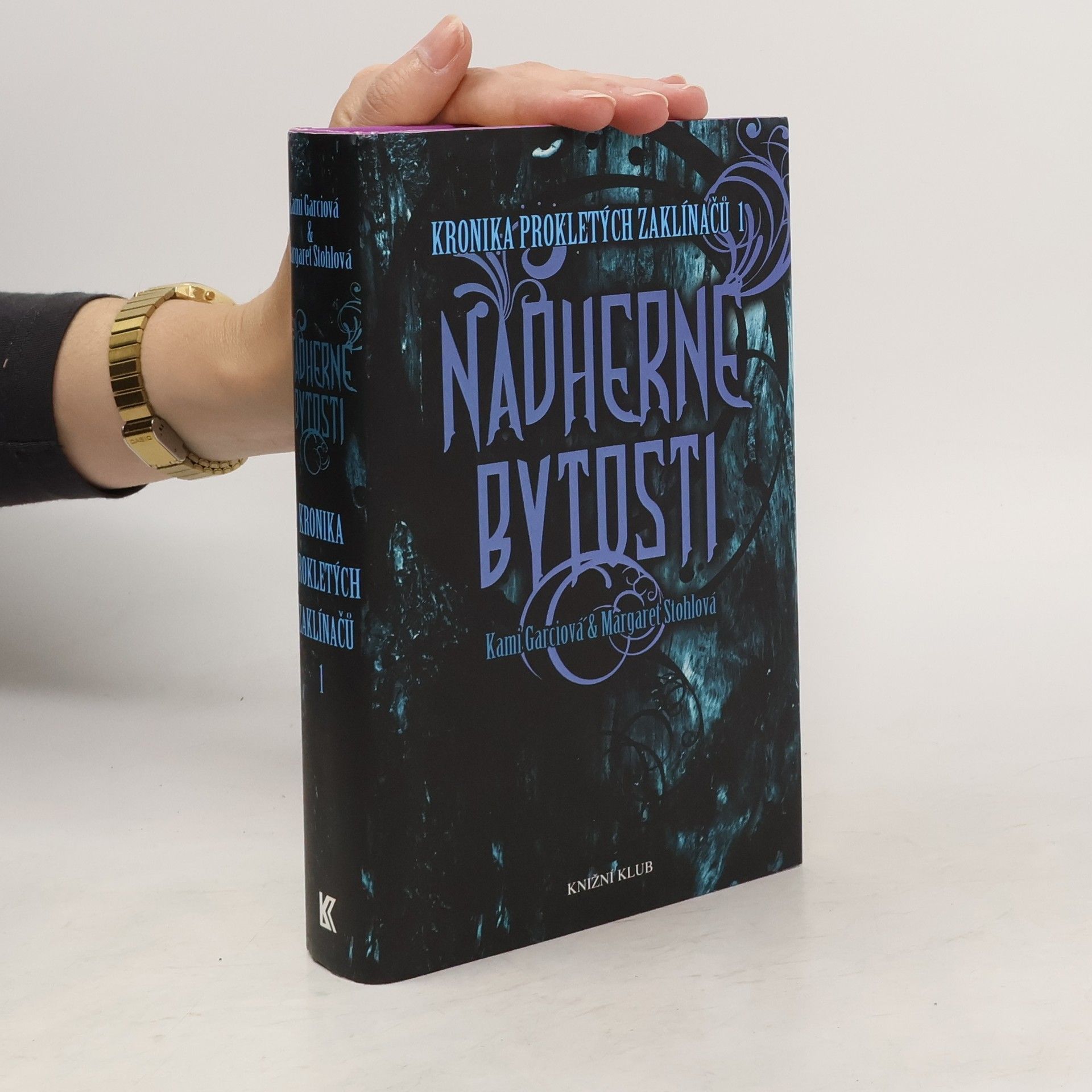 Kronika prokletých zaklínačů 1. Nádherné bytosti