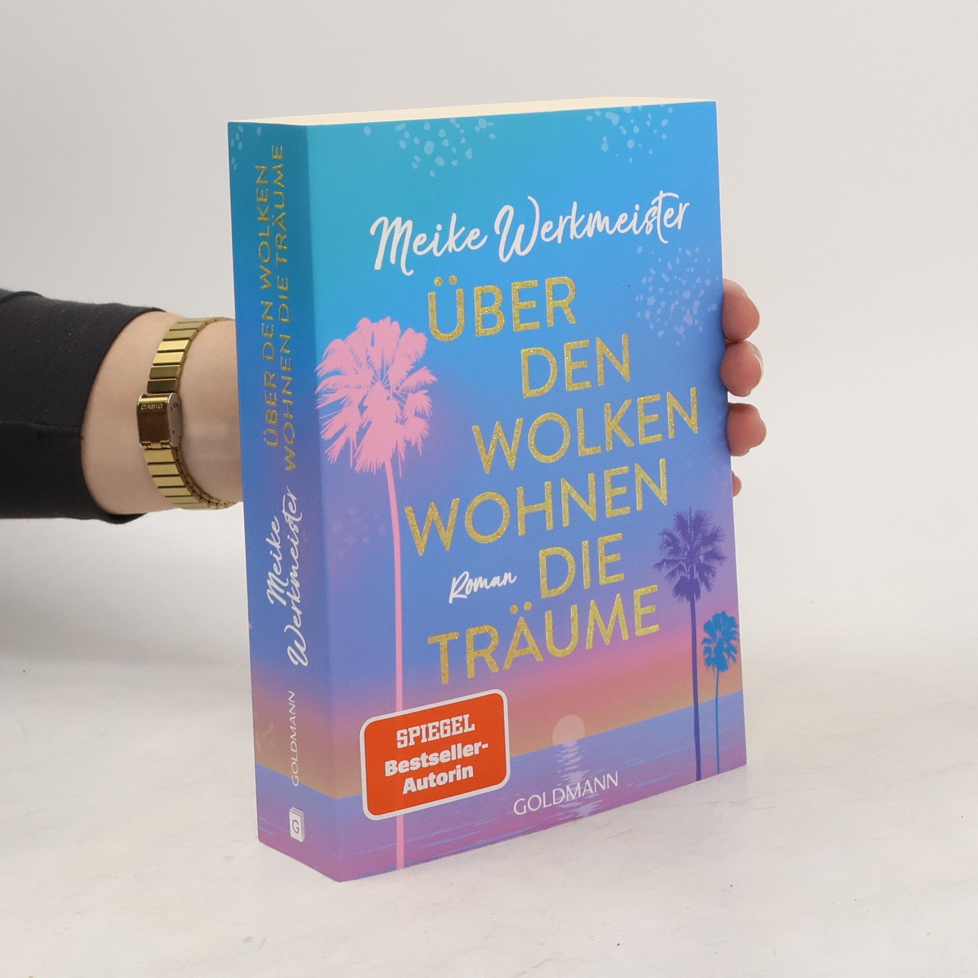 Meike Werkmeister Über den Wolken wohnen die Träume