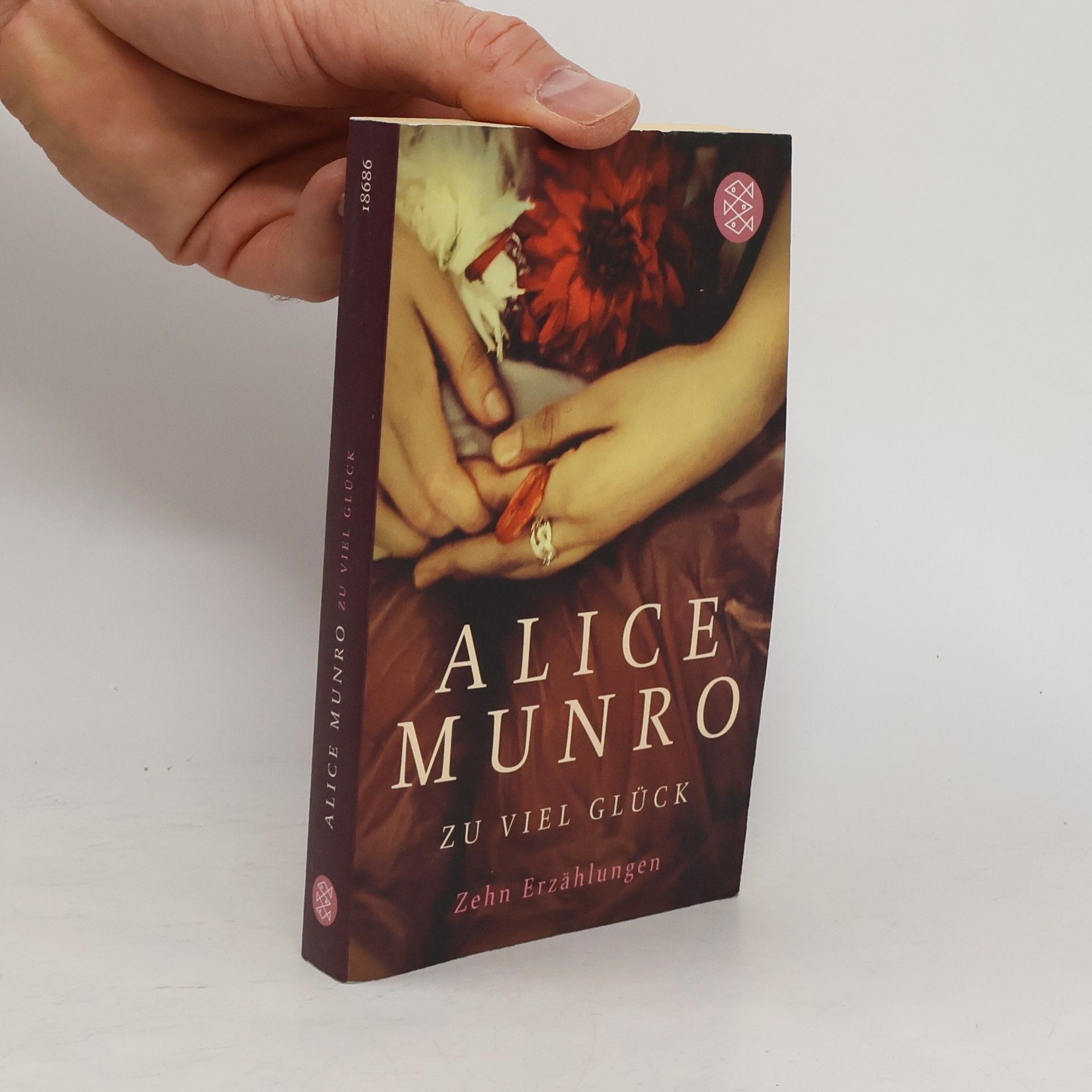 Alice Munro Zu viel Glück. zehn erzählungen
