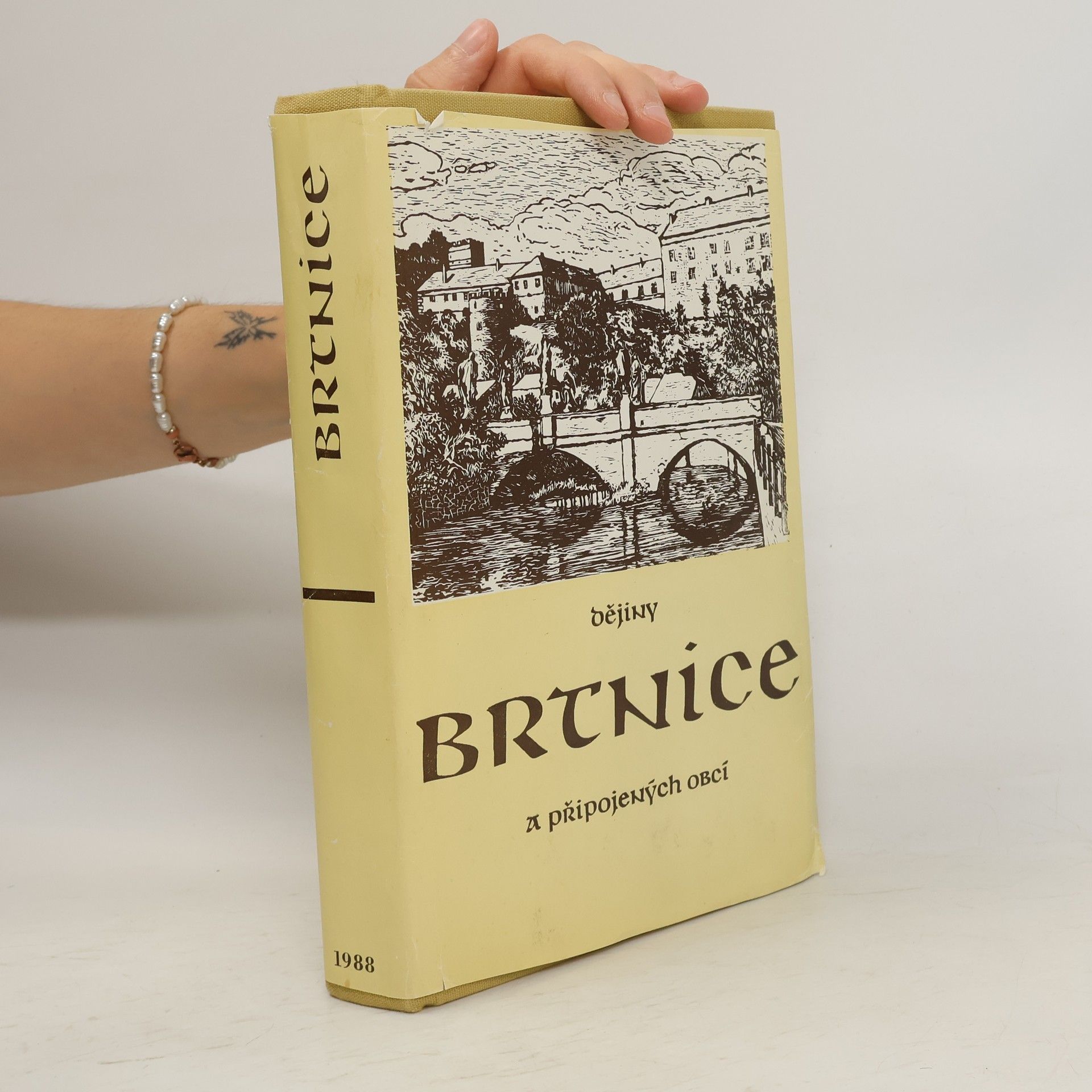 Kolektiv autorů Dějiny Brtnice a připojených obcí