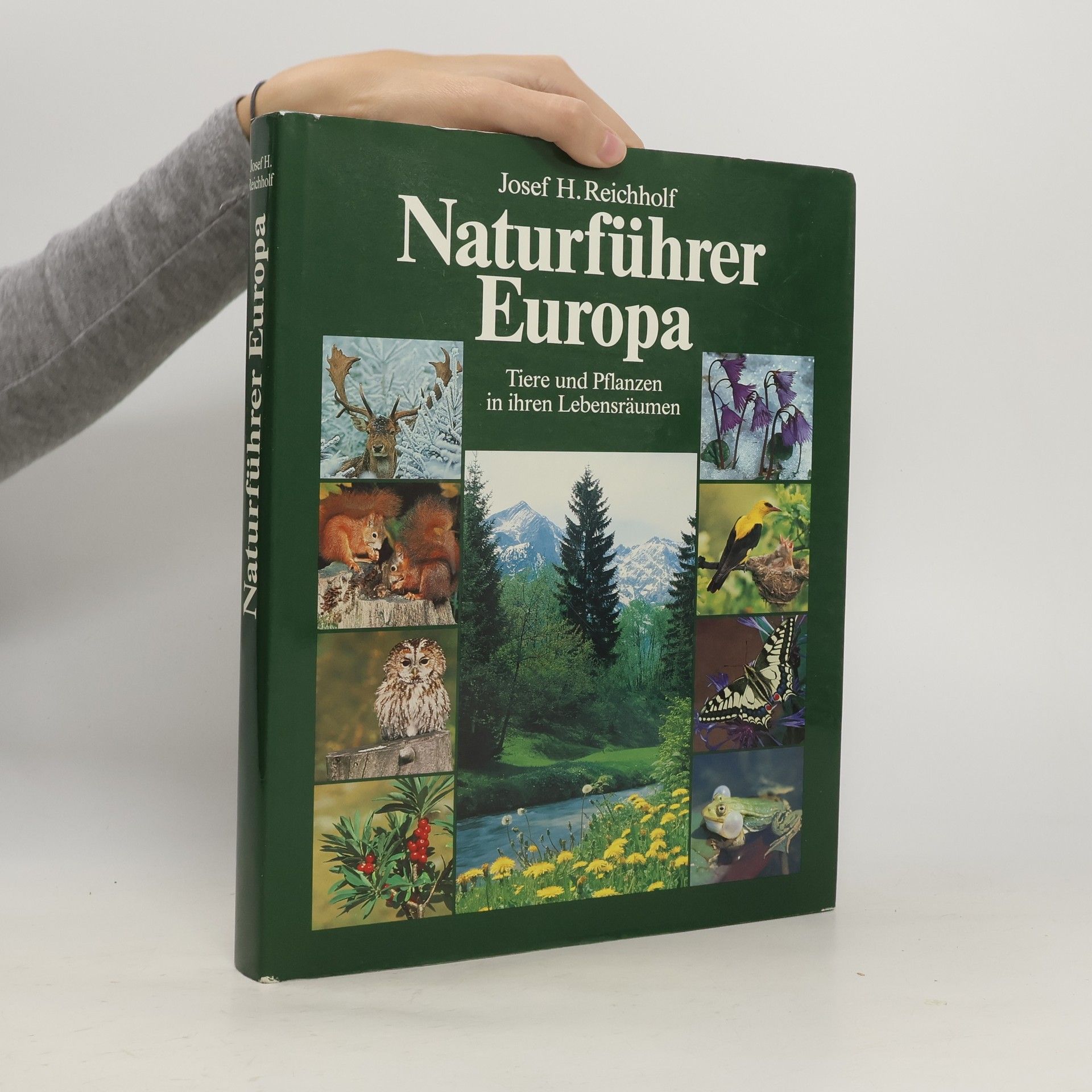 Josef Helmut Reichholf Naturführer Europa
