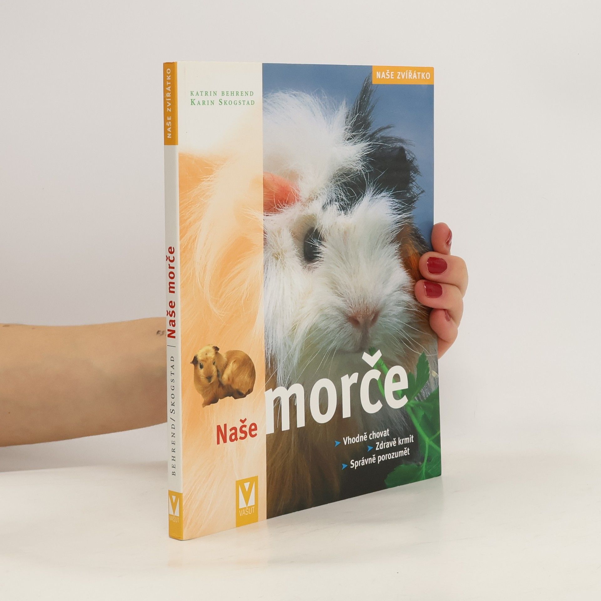 Katrin Behrend Naše morče: Vhodná péče, zdravá strava, správné porozumění