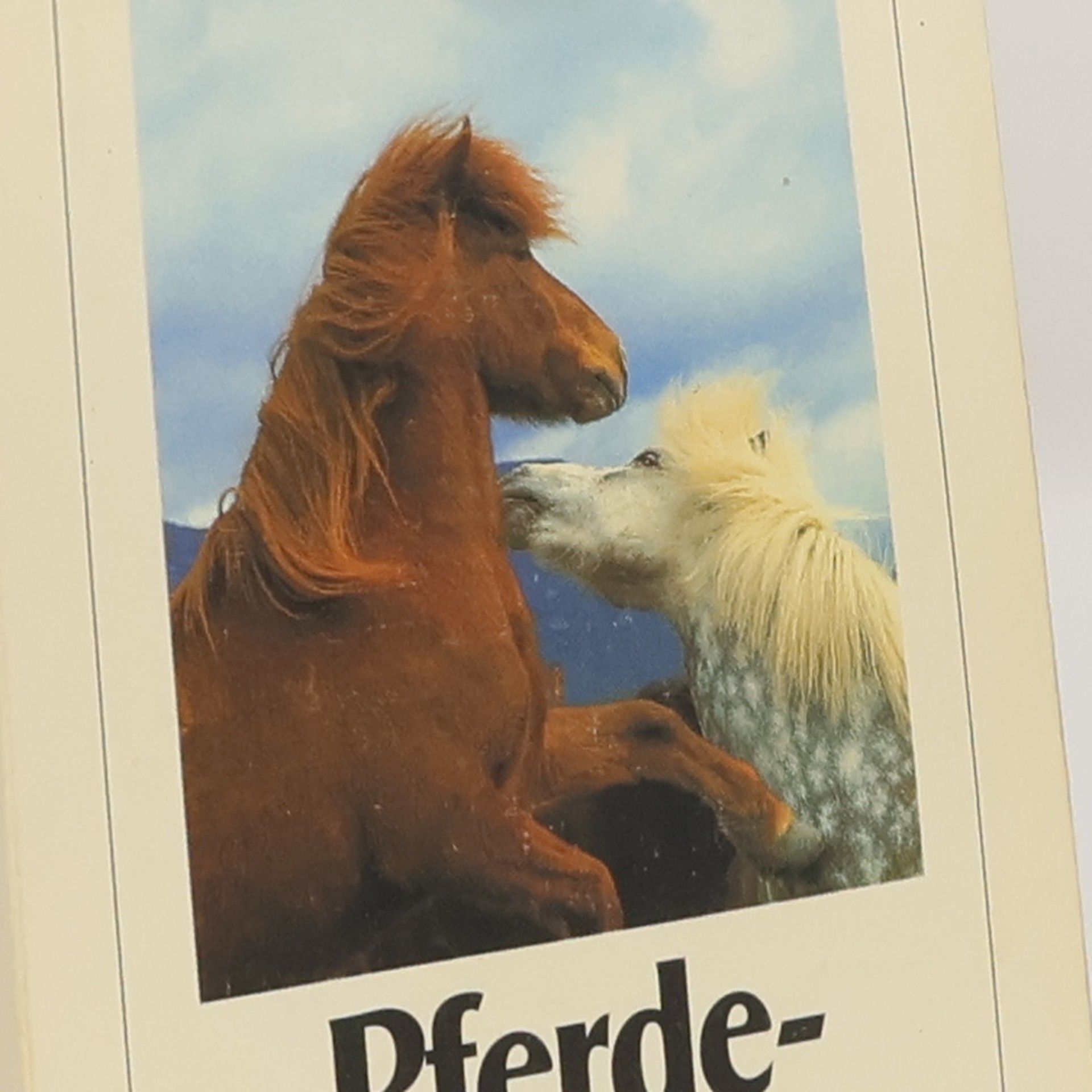 Katja Behrens Pferdegeschichten