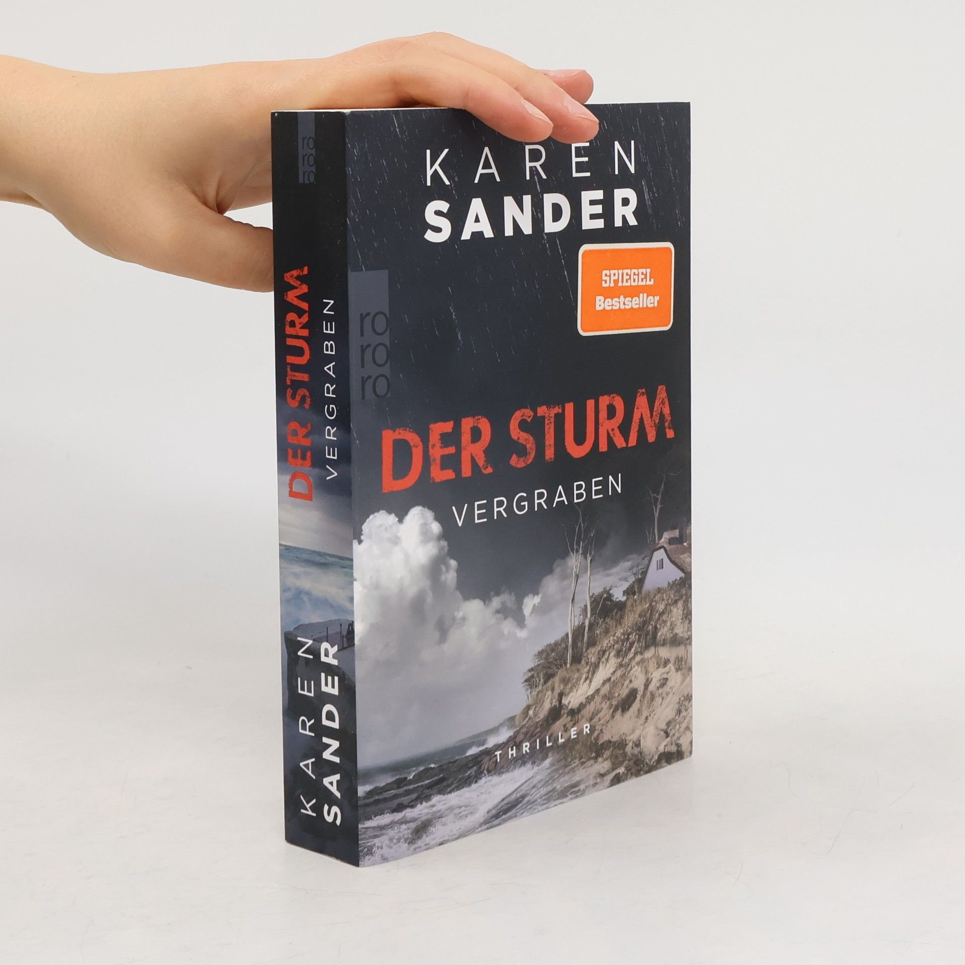 Sabine Martin Der Sturm. Vergraben