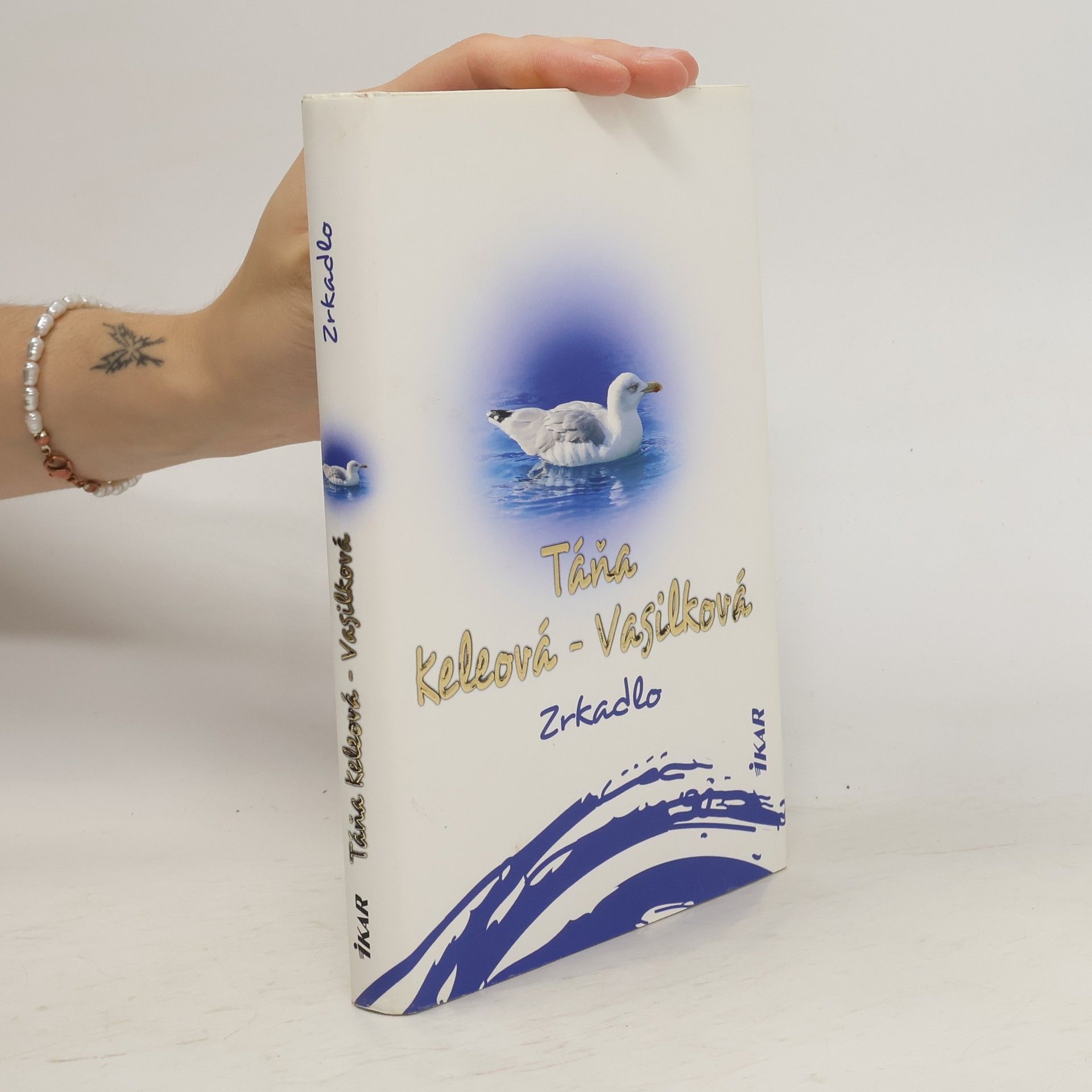 Táňa Keleová-Vasilková Zrkadlo