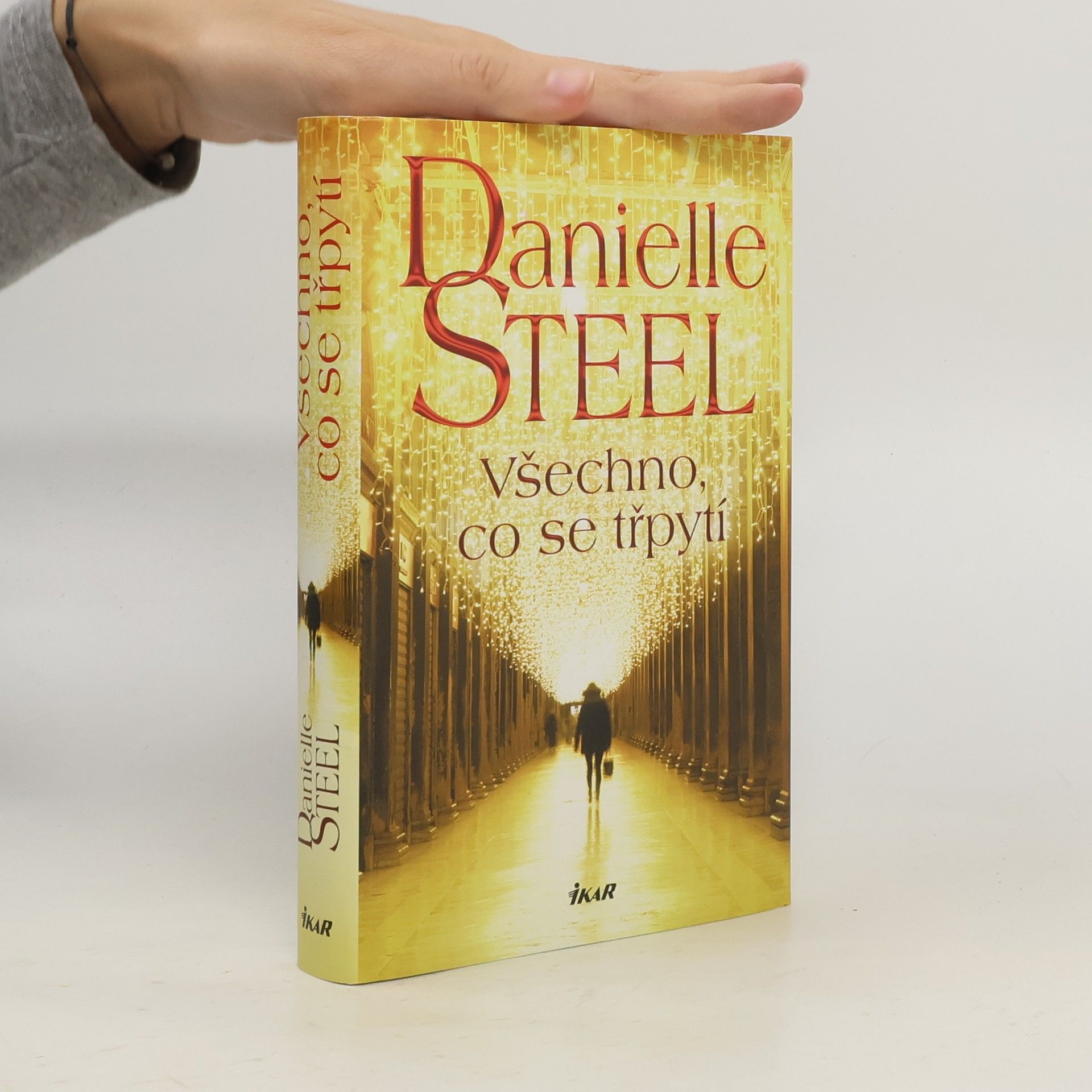 Danielle Steel Všechno, co se třpytí