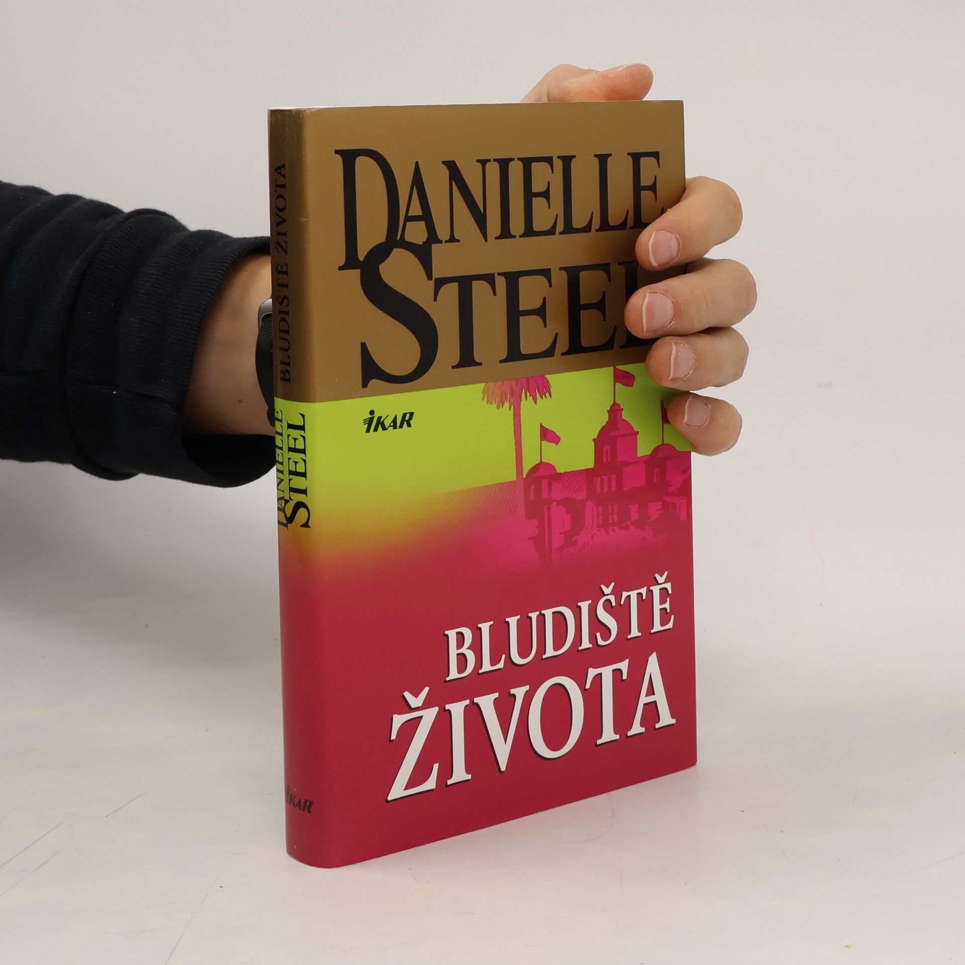 Danielle Steel Bludiště života