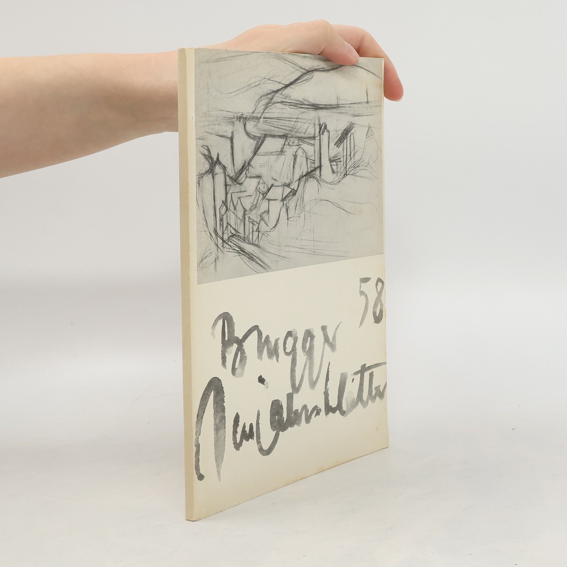 Collectif d'auteurs Brugger Neujahrs-Blätter