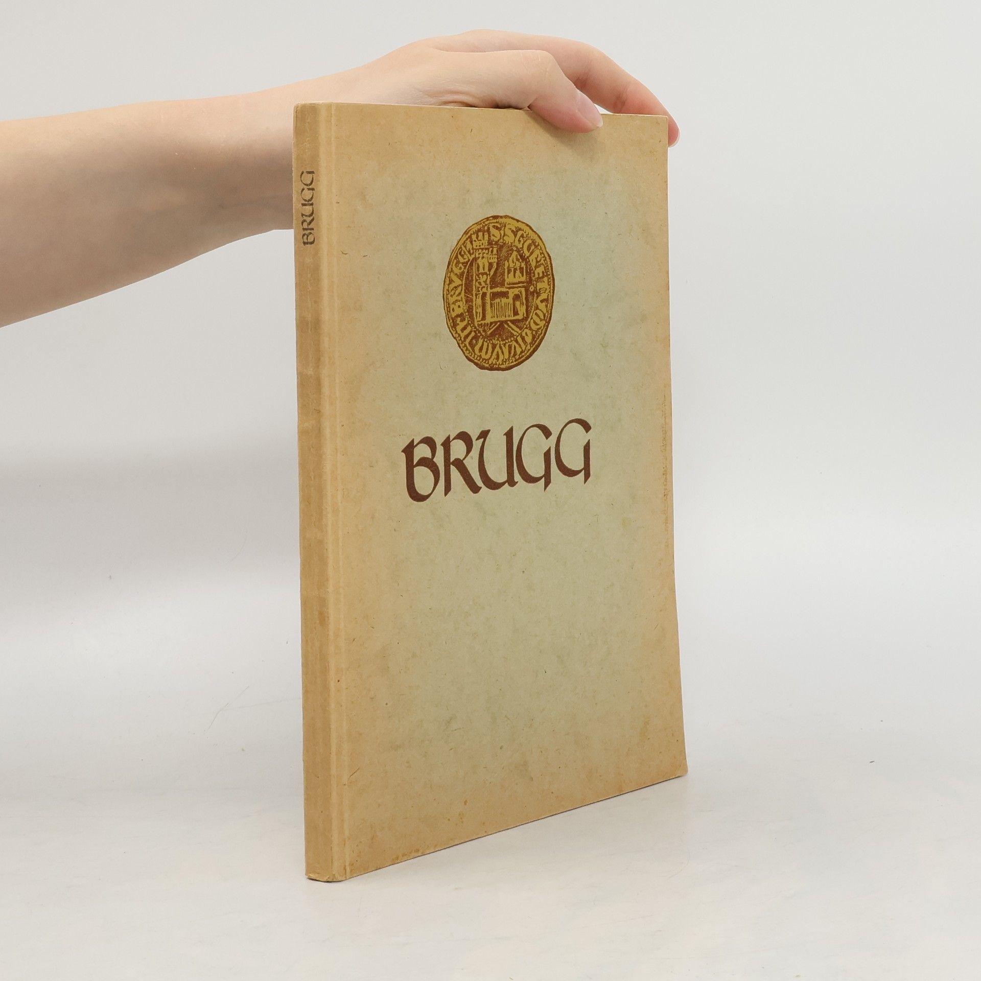 Collectif d'auteurs Brugg