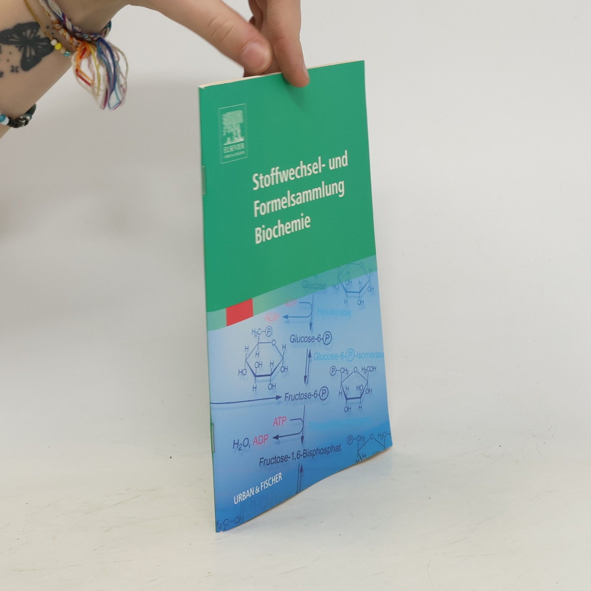 Autorenkollektiv Stoffwechsel- und Formelsammlung Biochemie