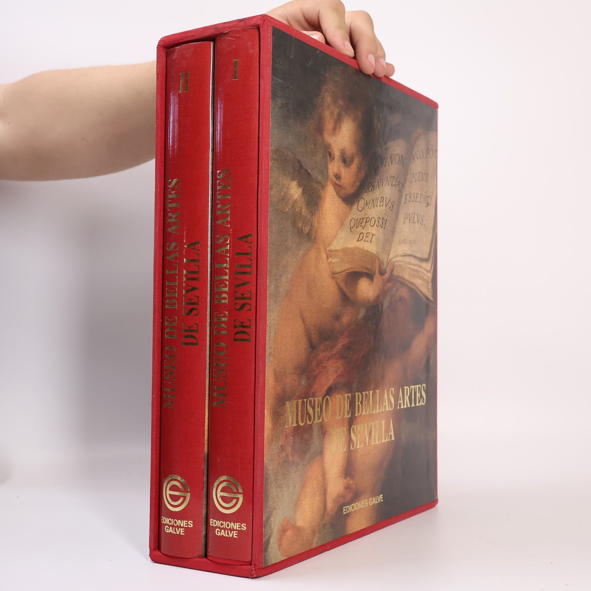 Museo de Bellas Artes de Sevilla I.-II.