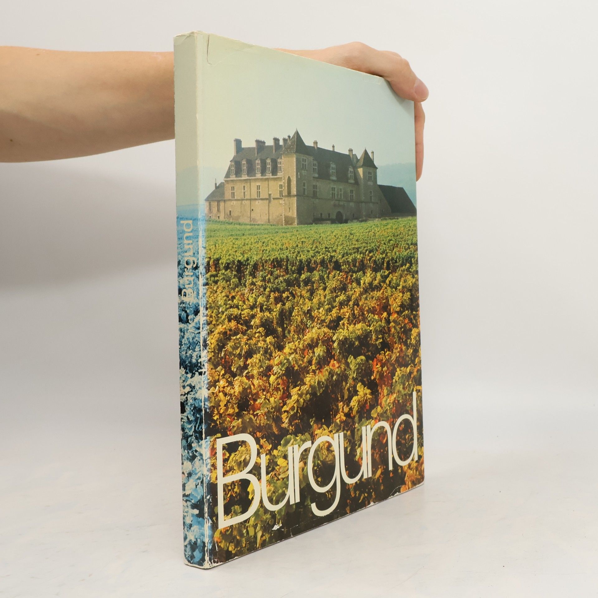 Autorenkollektiv Burgund