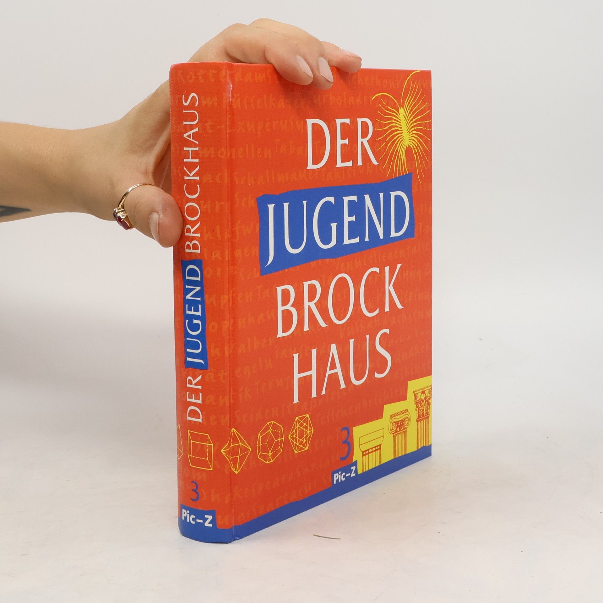 AA.VV. Der Jugend-Brockhaus 3. Pic-Z