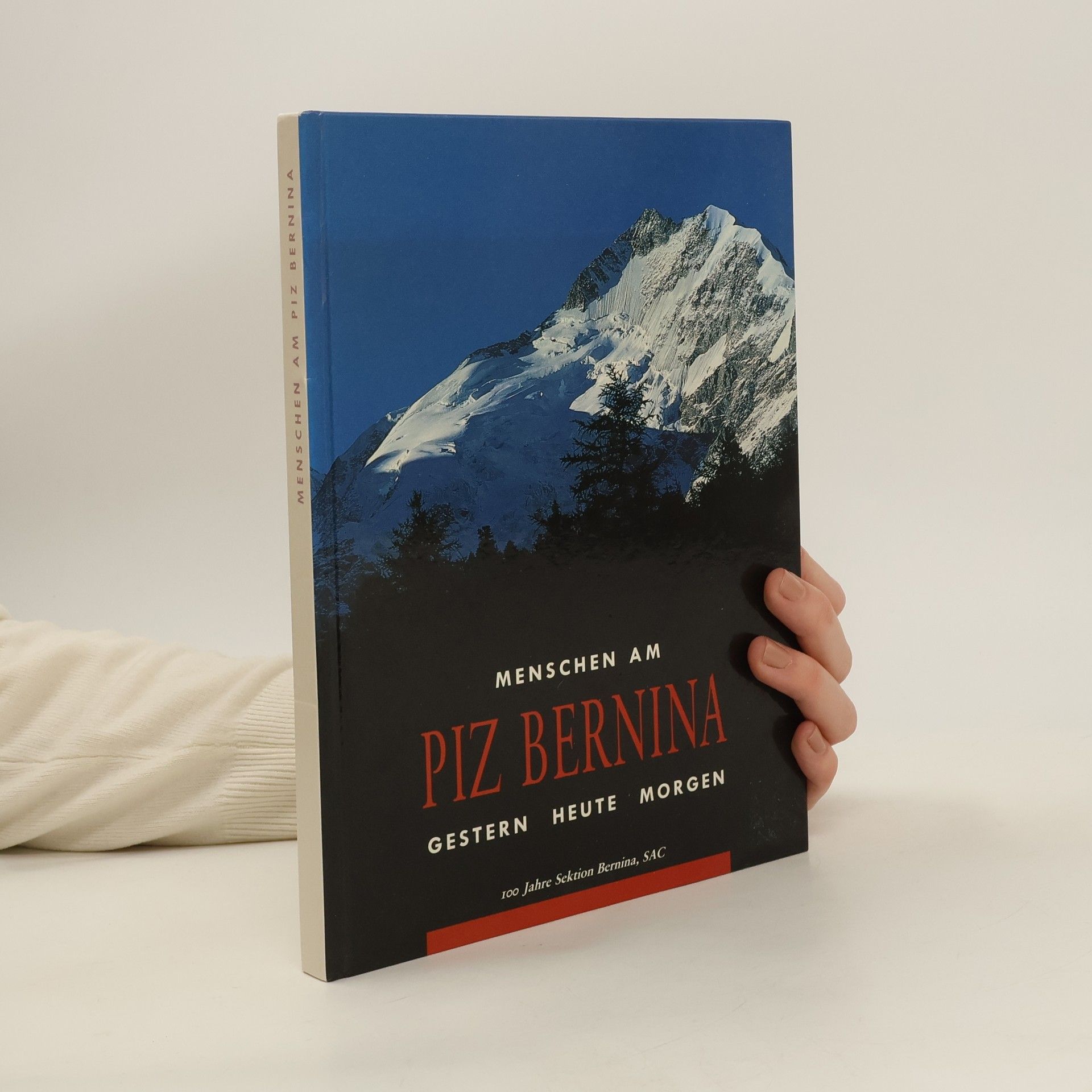 Autorenkollektiv Menschen am Piz Bernina