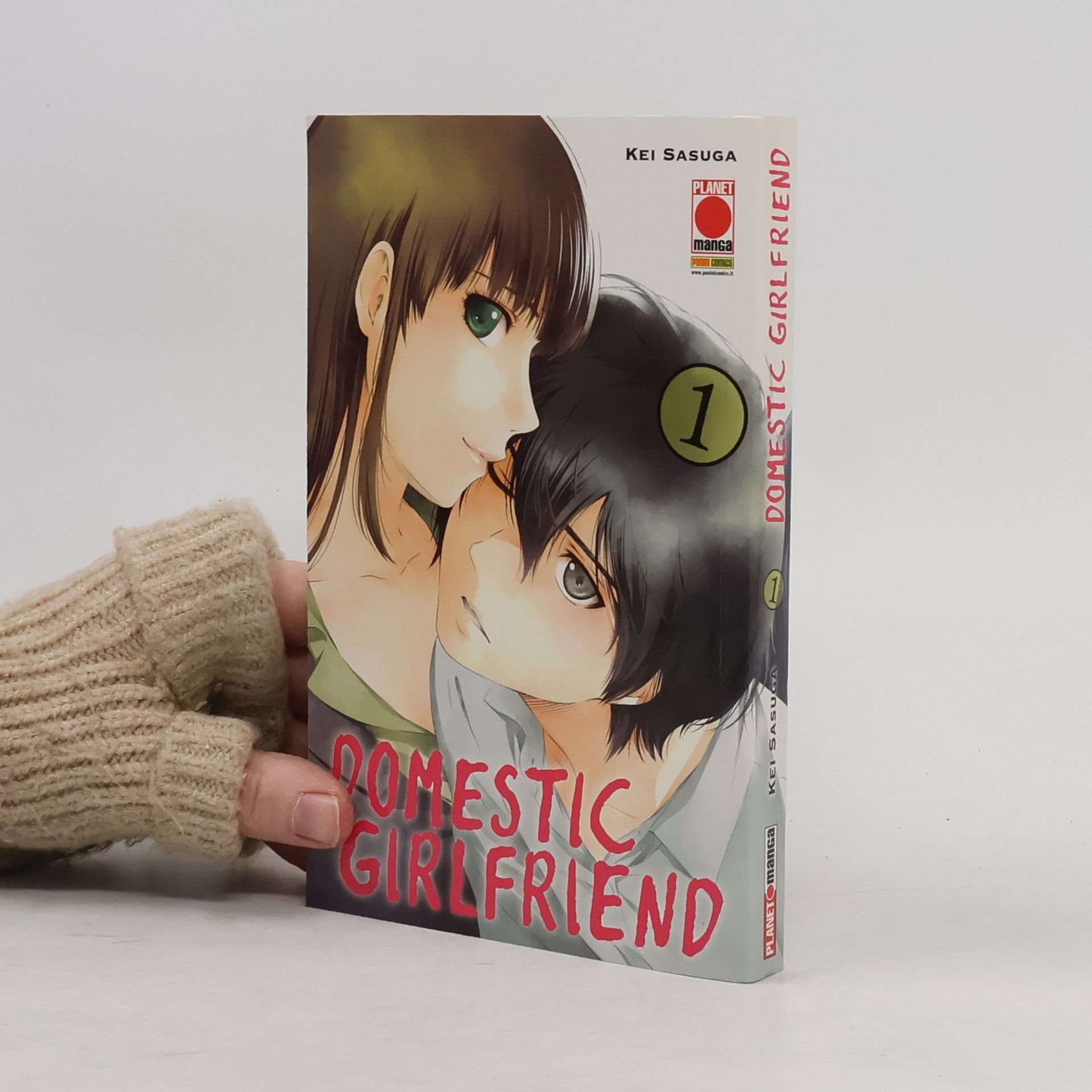 Kei Sasuga Domestic Girlfriend 1