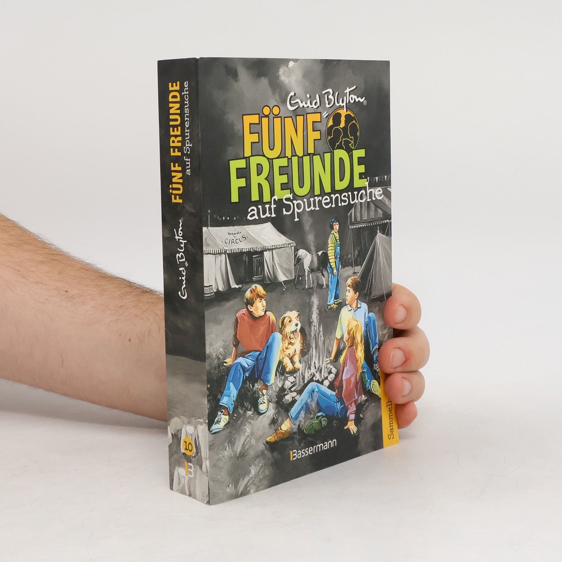 Enid Blyton Fünf Freunde auf Spurensuche