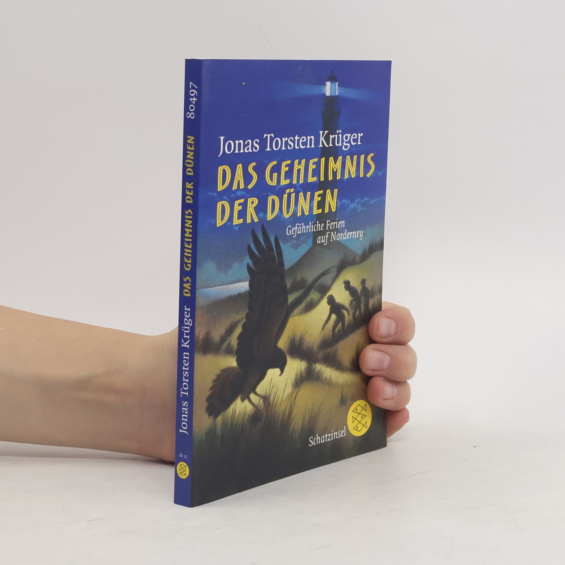 Jonas Torsten Krüger Das Geheimnis der Dünen