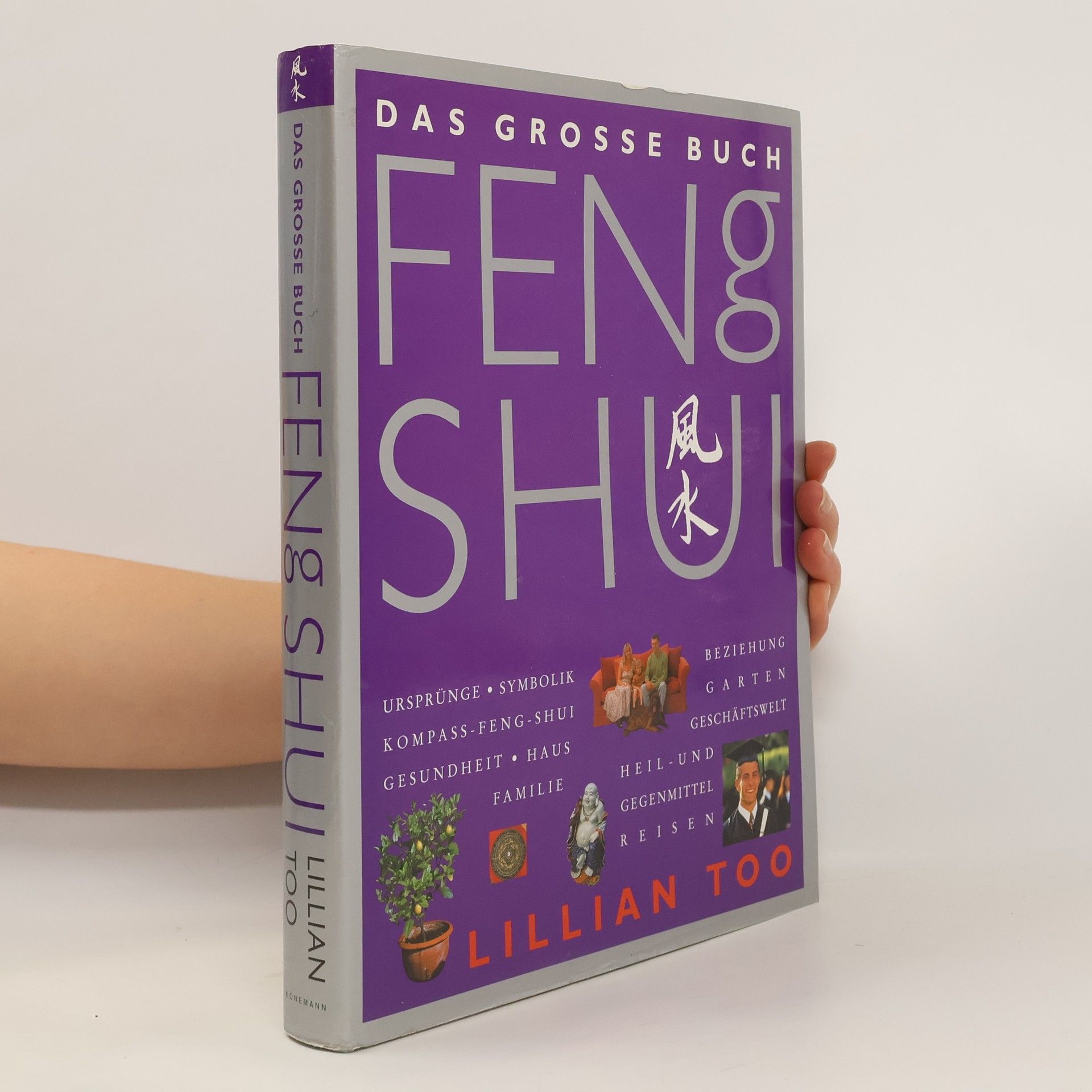 Lillian Too Das grosse Buch Feng Shui