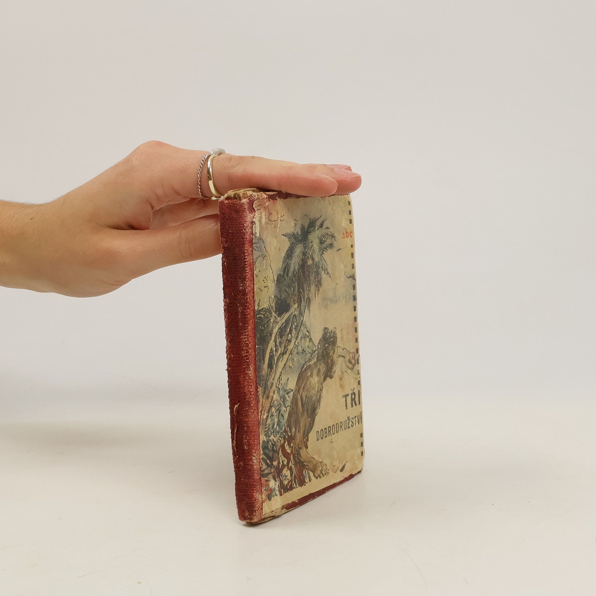 Collectif d'auteurs Tři dobrodružství