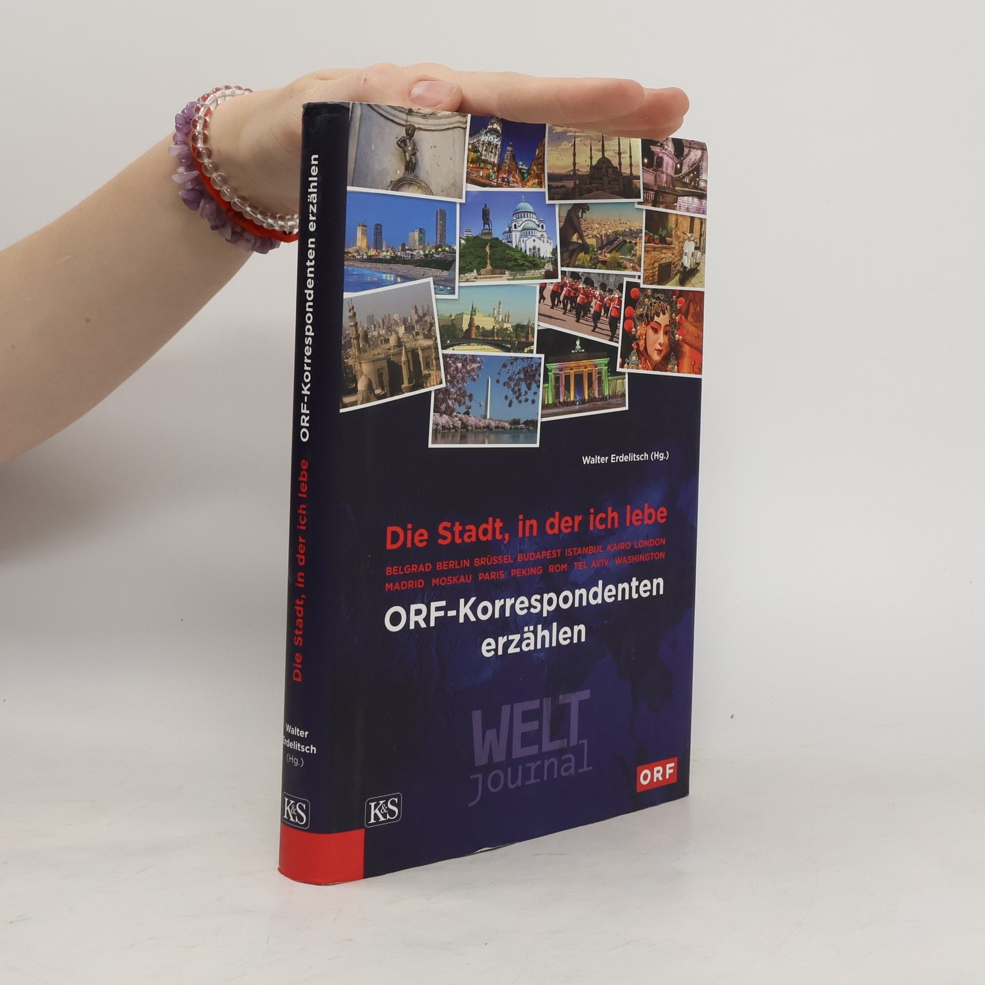 Walter Erdelitsch Die Stadt, in der ich lebe