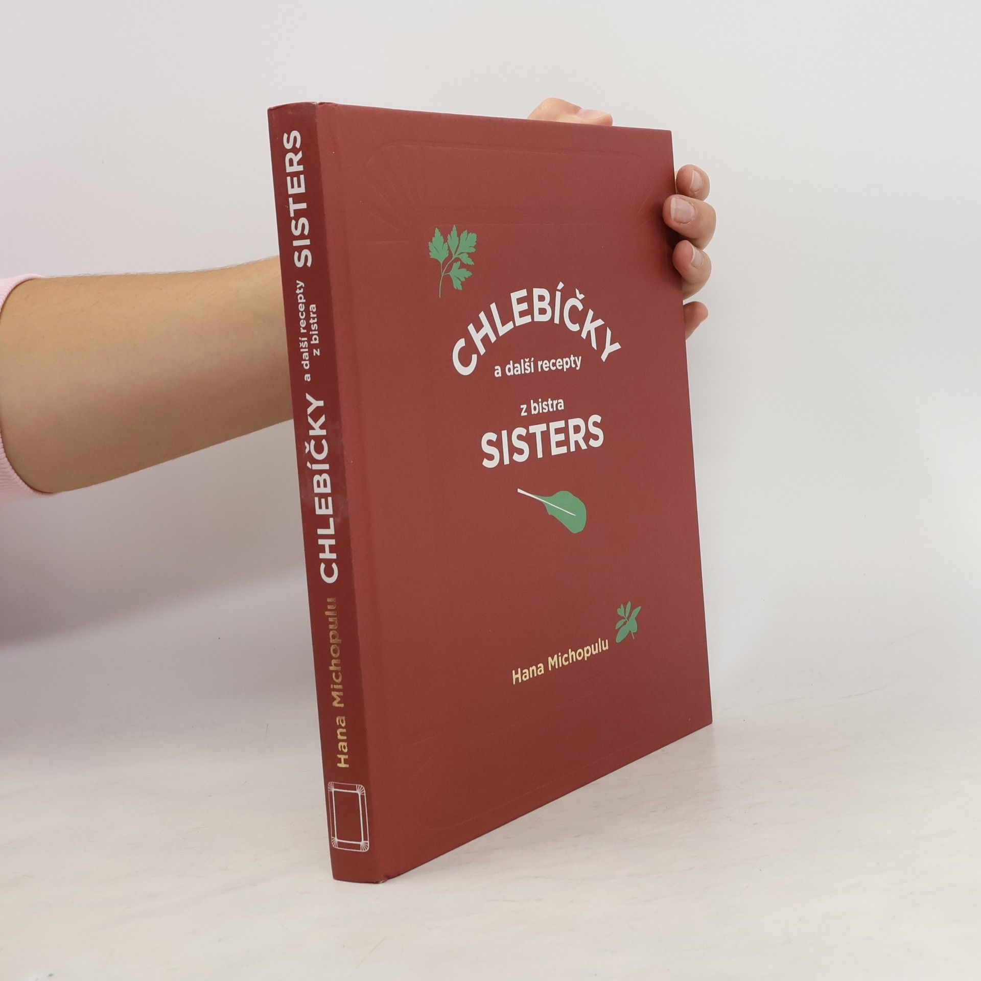 Hana Michopulu Chlebíčky a další recepty z bistra Sisters