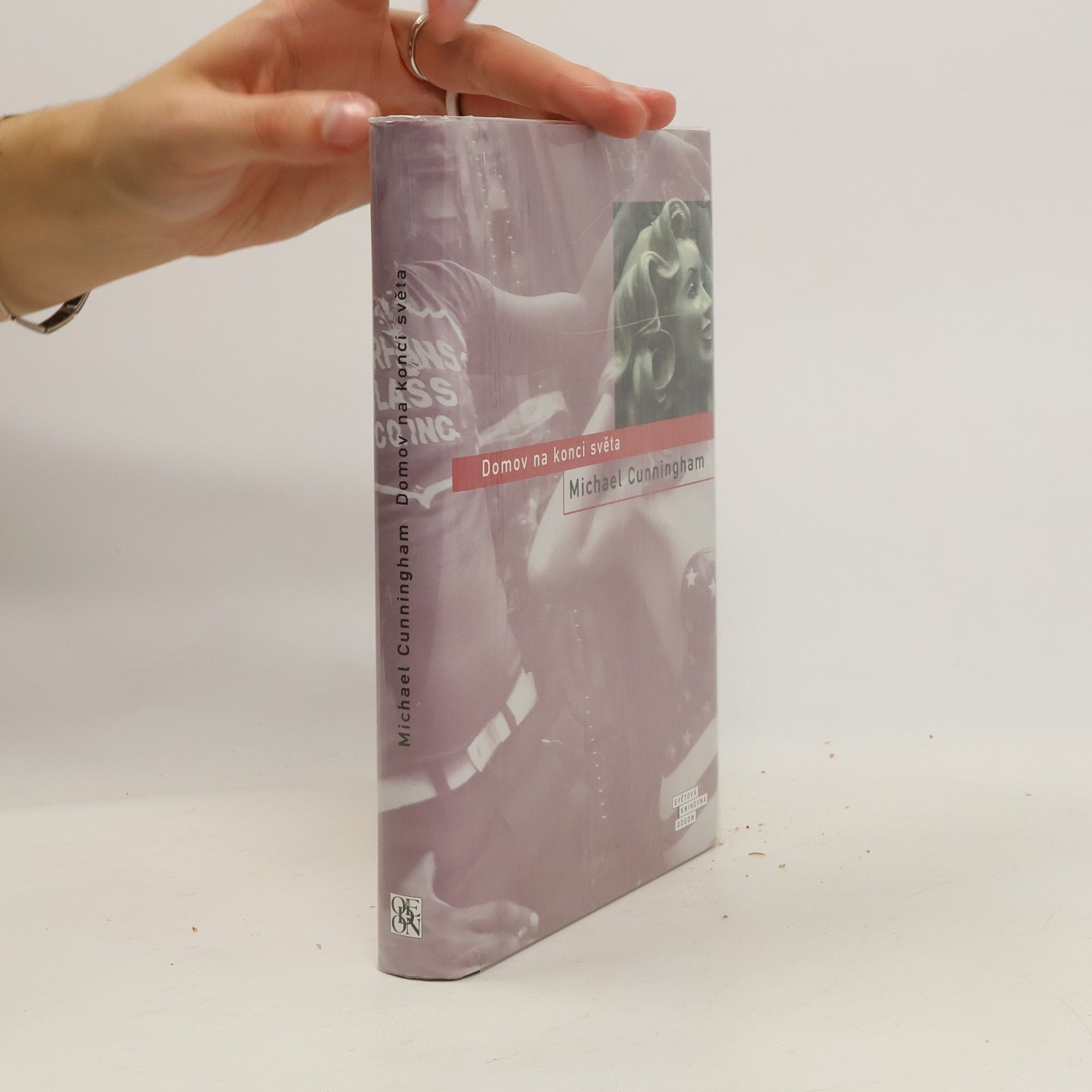 Michael Cunningham Domov na konci světa