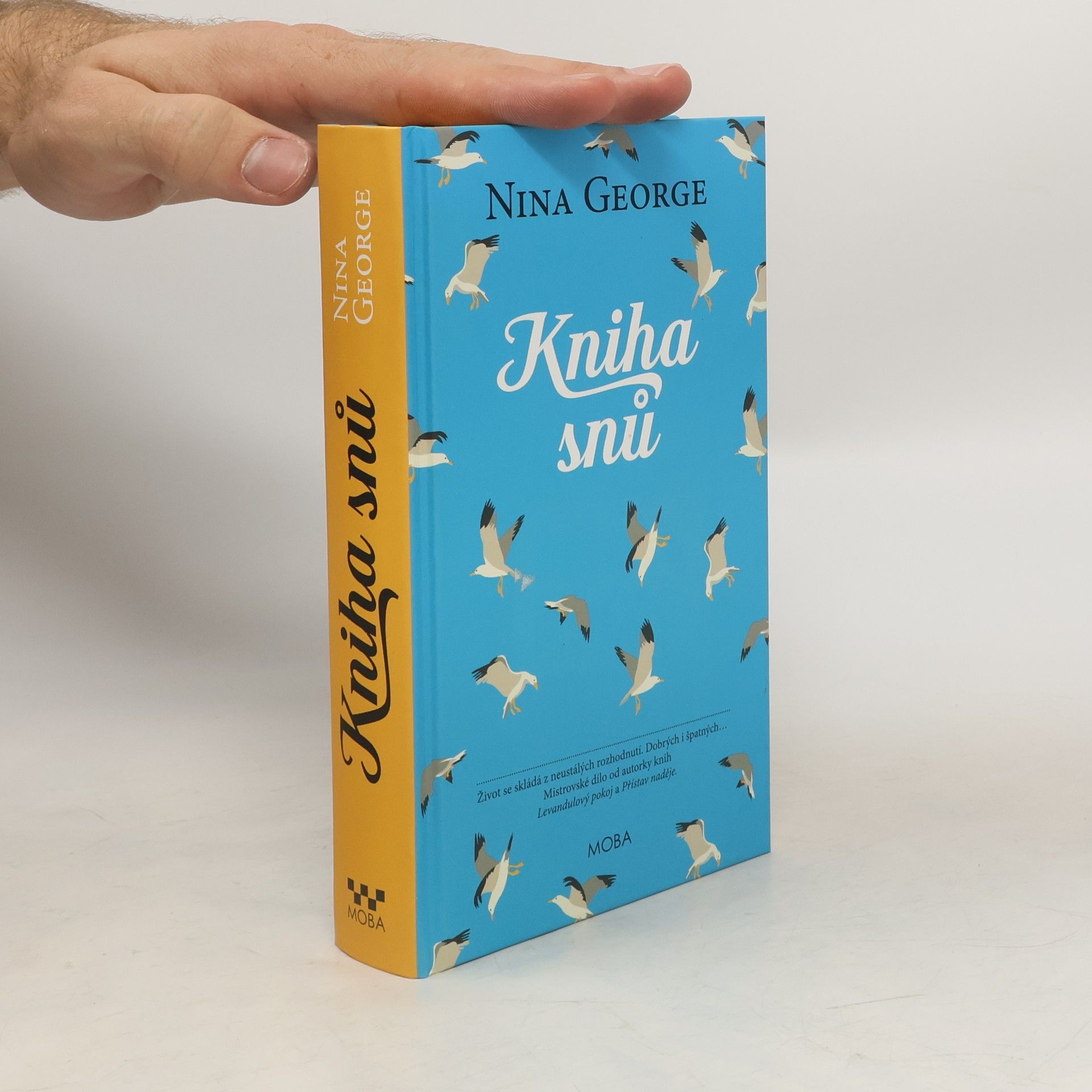 Nina George Kniha snů