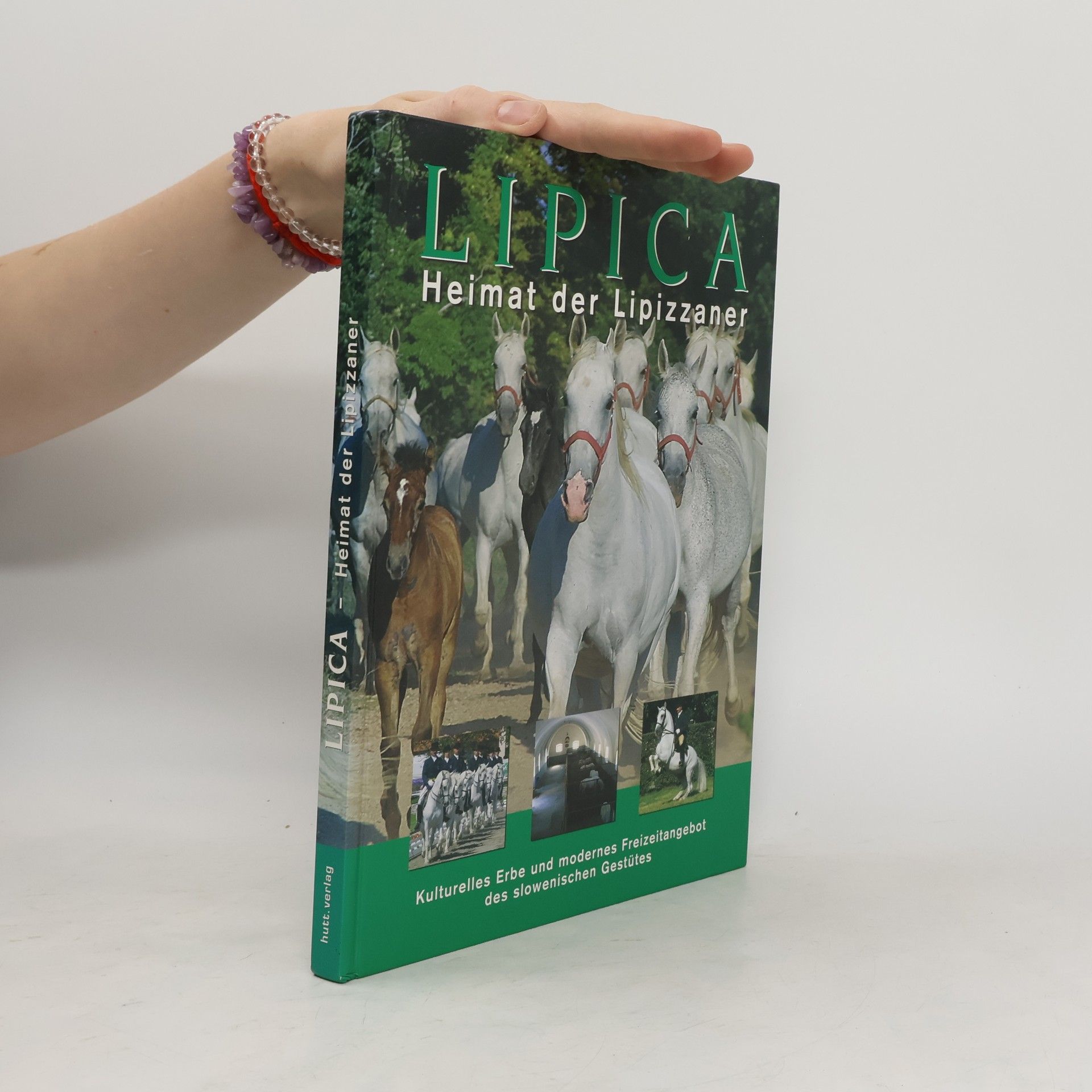 Hanne Schneider Lipica