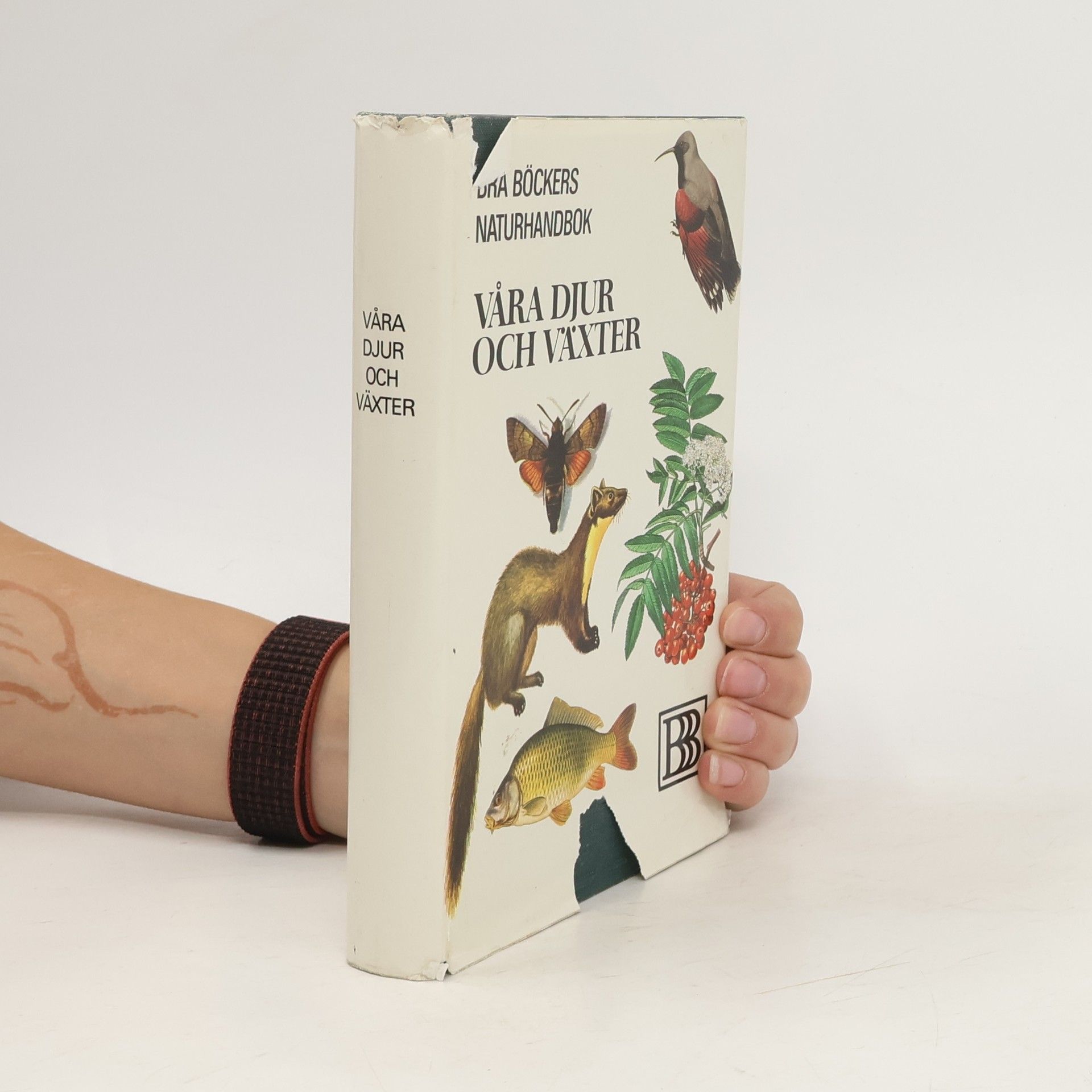 Various authors Våra djur och växter