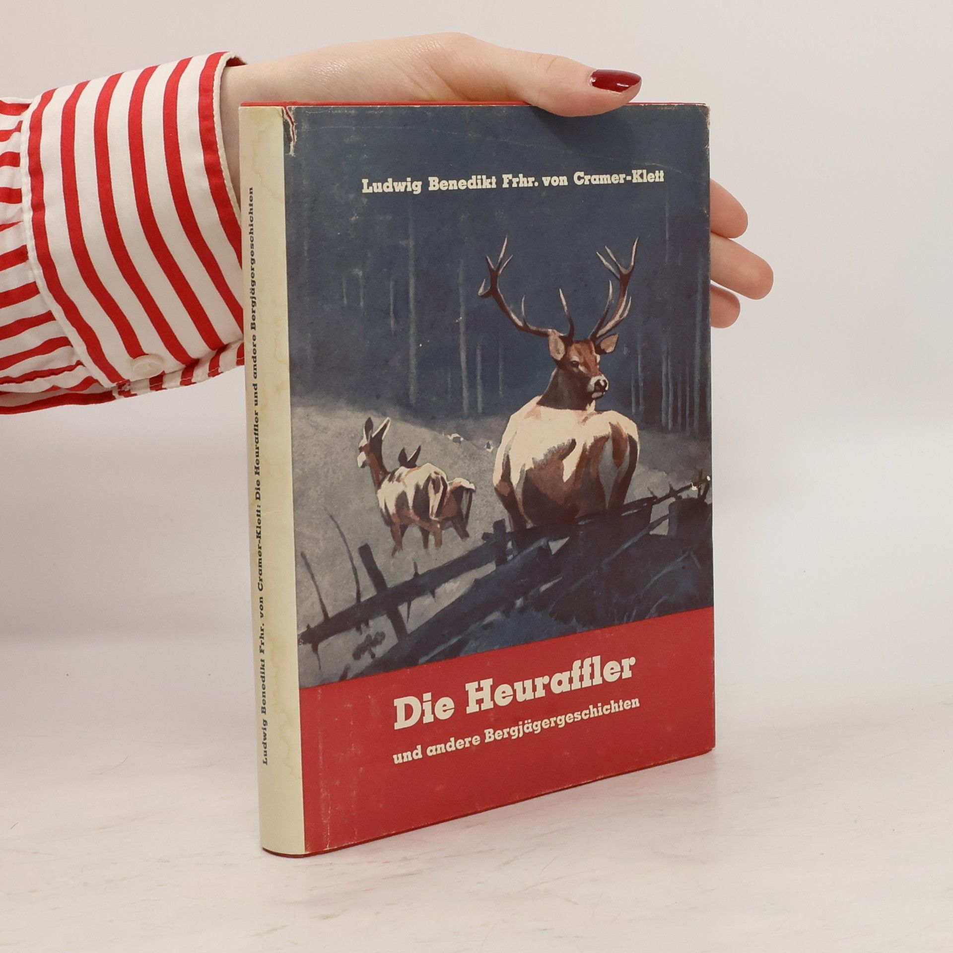 Die Heuraffler und andere Bergjägergeschichten