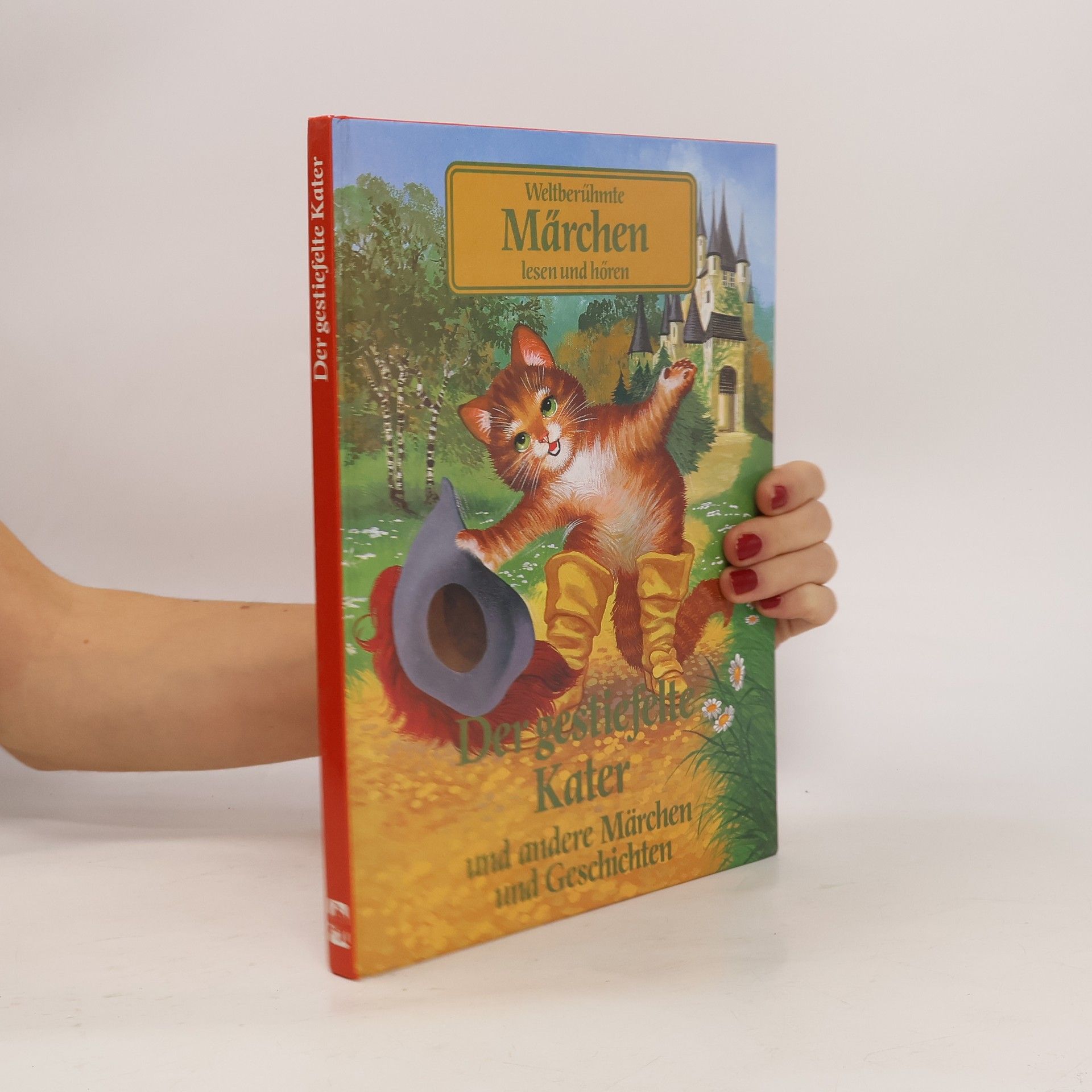 Collectif d'auteurs Der gestiefelte Kater und andere Märchen und Geschichten