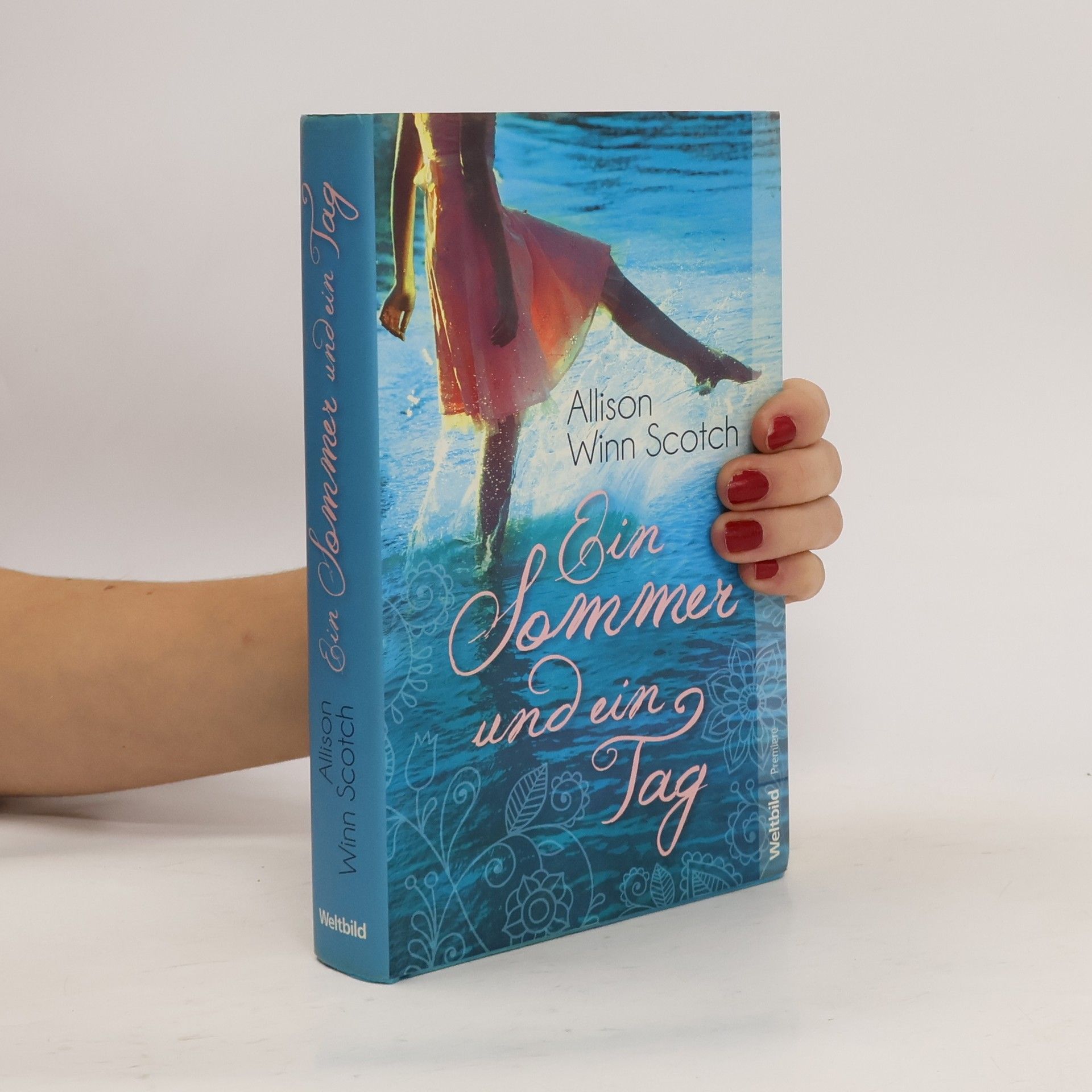 Allison Winn Scotch Ein Sommer und ein Tag