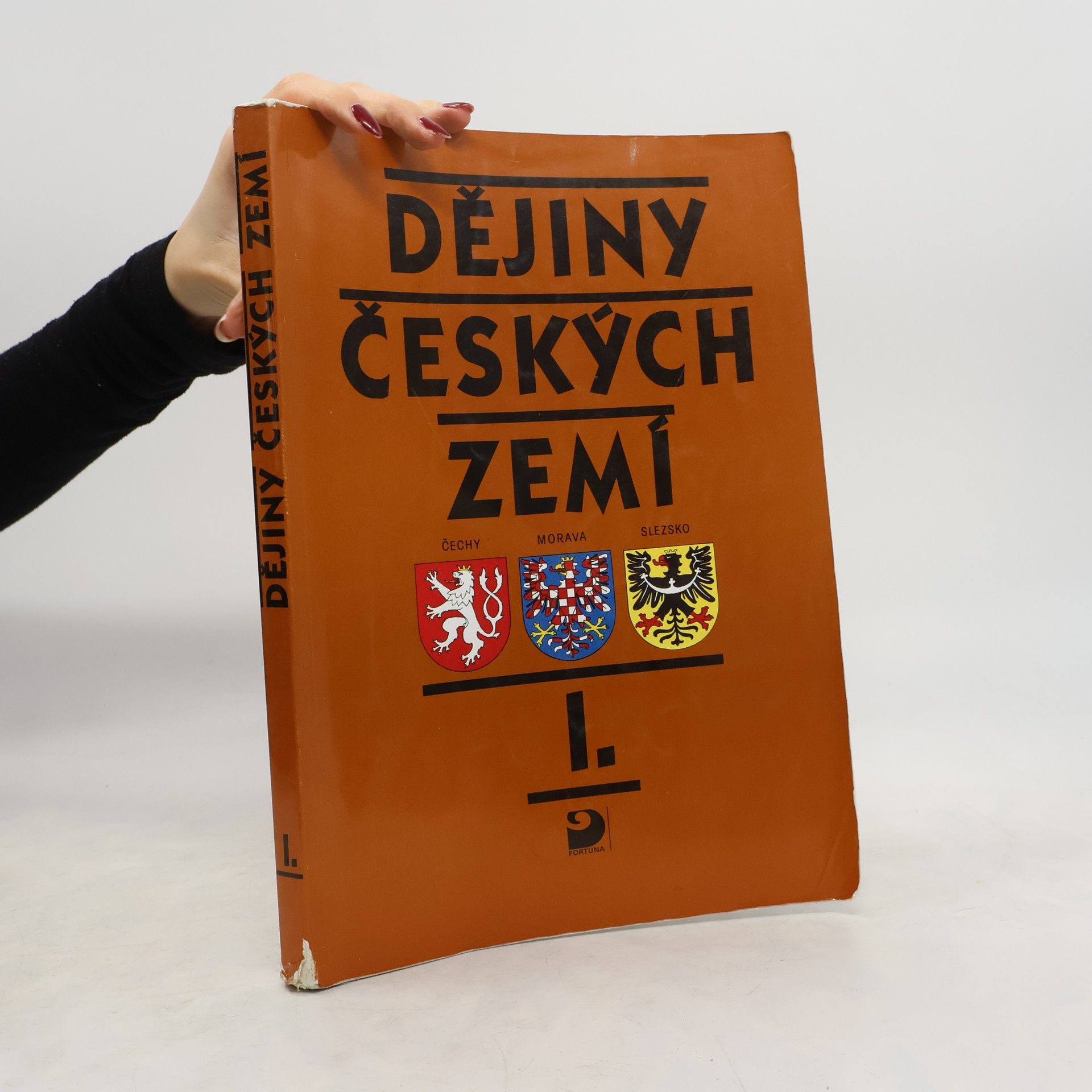 Dějiny českých zemí. 1, Od pravěku do poloviny 18. století